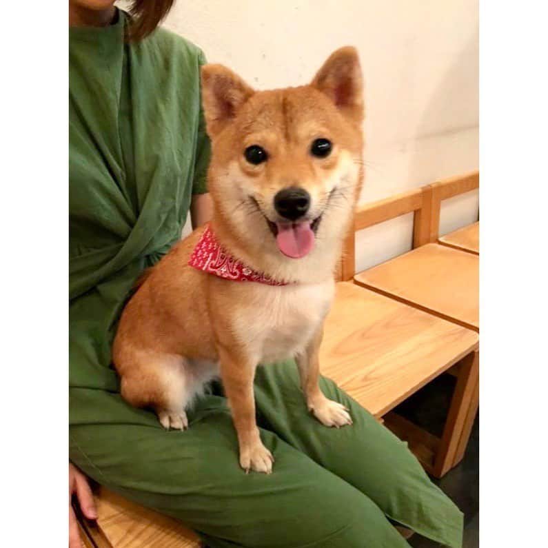 VANRIのグルメインスタ