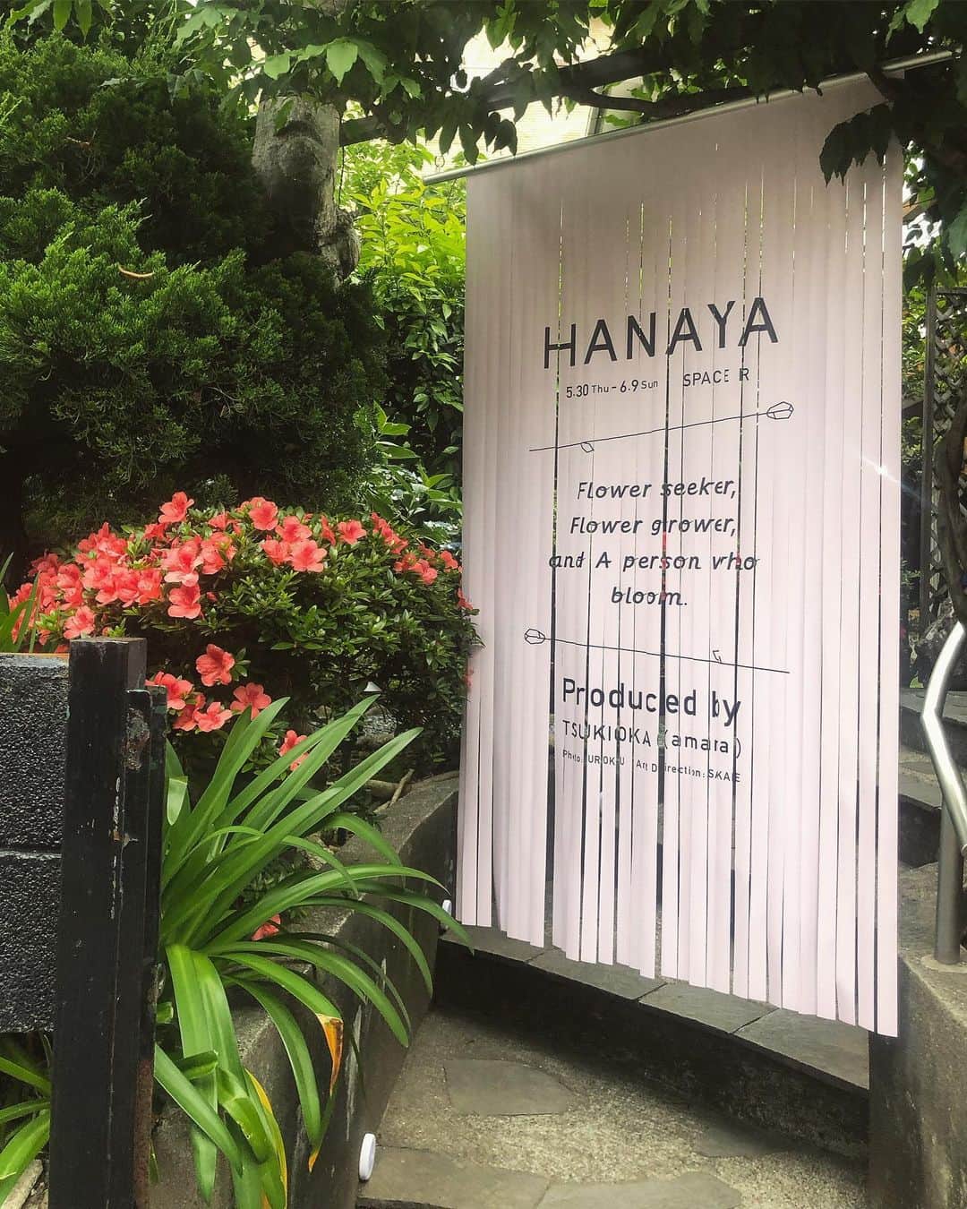 永尾まりやさんのインスタグラム写真 - (永尾まりやInstagram)「𝙃𝘼𝙉𝘼𝙔𝘼 かさねに続きspace Rで行われてるHANAYAみてきました！ やっぱりとっても可愛い🌷 お花素敵🌷 . . #uroku #宇禄  #hanaya #spacer #daikanyama」6月2日 0時53分 - mariyagi_san