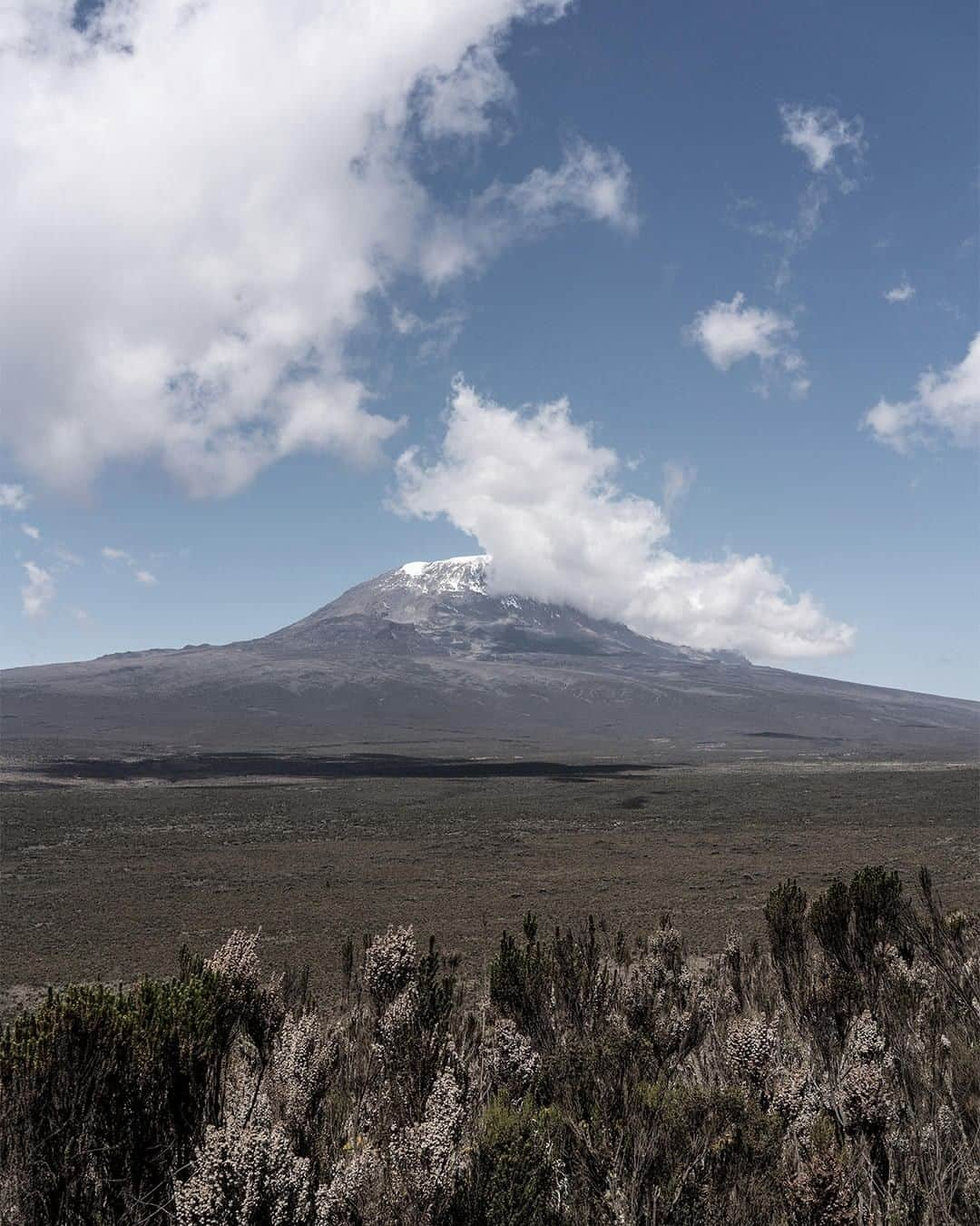 Mammutさんのインスタグラム写真 - (MammutInstagram)「What a feeling it is to see the "roof of Africa" for the first time, isn't it @tomnative?  #mammut_swiss1862 #dowhatyoucant #bewhatyoucan #mountainlove #stayandwander #exploringtheglobe #adventurethatislife #mountainvibes #letswander」6月2日 1時30分 - mammut_swiss1862