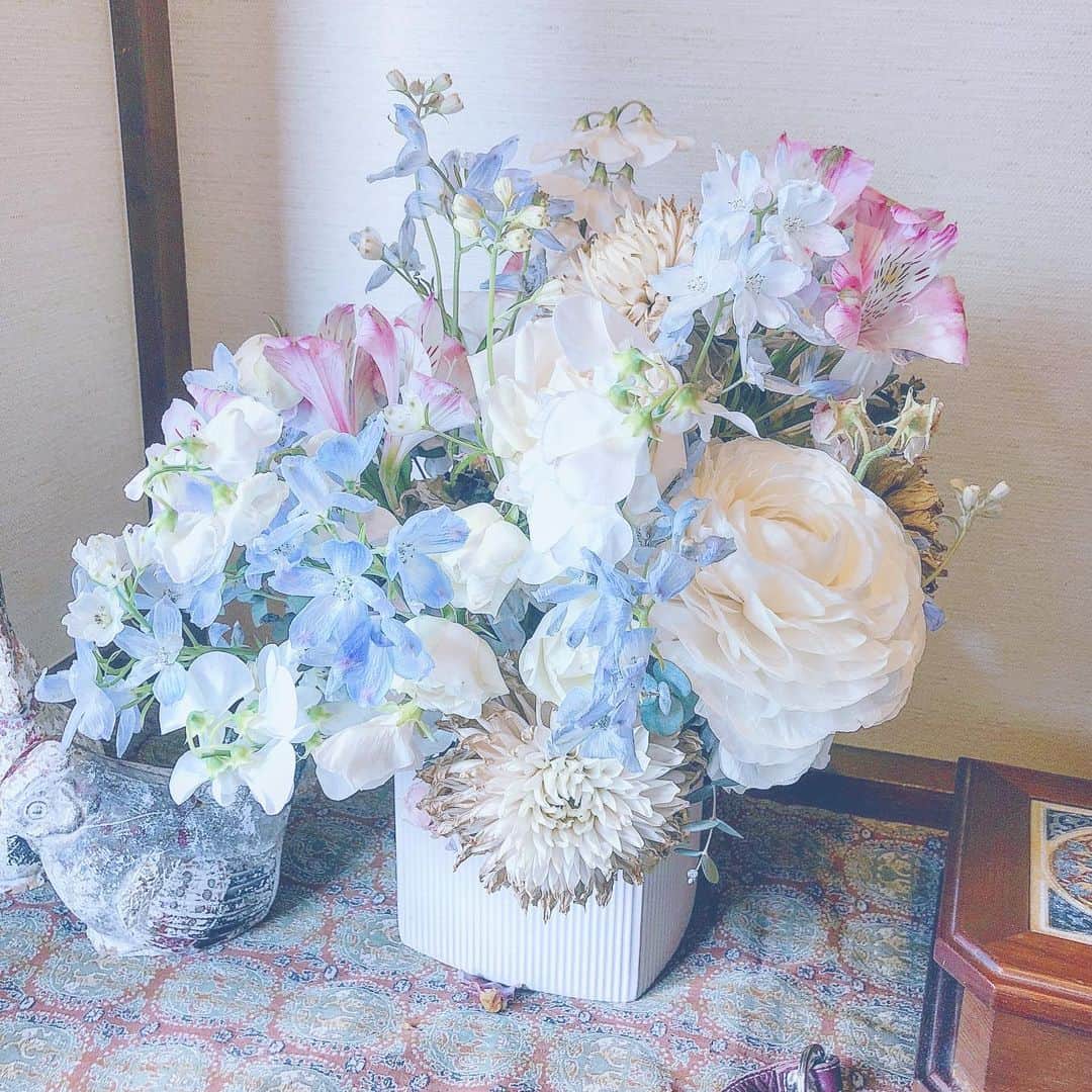 木村仁美さんのインスタグラム写真 - (木村仁美Instagram)「儚さと夢と 散る運命だとしても 花は美しい」6月2日 2時40分 - chami_cat