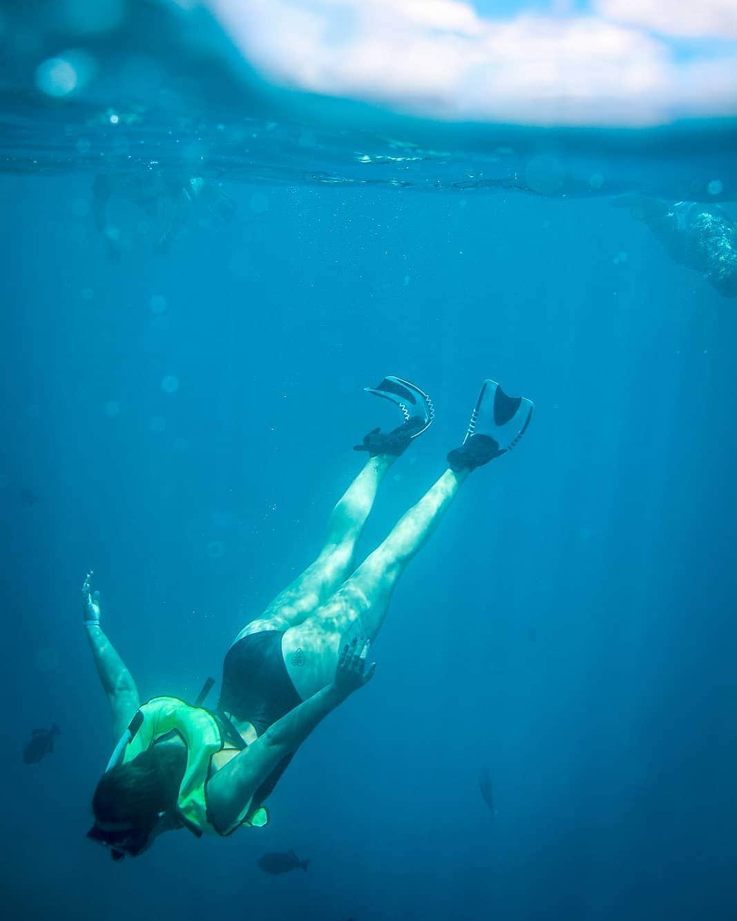 And Youさんのインスタグラム写真 - (And YouInstagram)「Diving into the weekend! . . . . . . . . . . #hawaiivacation #hawaii #underwaterphotography #snorkeling #hawaiitours #oahutours #unrealhawaii #oahu #dolphinsandyou」6月2日 4時11分 - dolphinsandyou