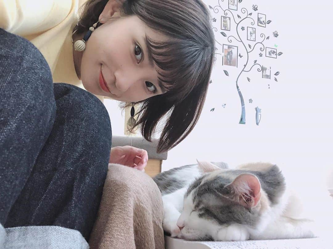 小俣里奈さんのインスタグラム写真 - (小俣里奈Instagram)「猫🐱 はやくうちにも迎えたい☺️💓 #valcat  #関内  #保護猫  #ねこ #にゃんこ  #猫カフェ  #動物 #小俣里奈  #お散歩中に発見」6月2日 6時38分 - omatarina