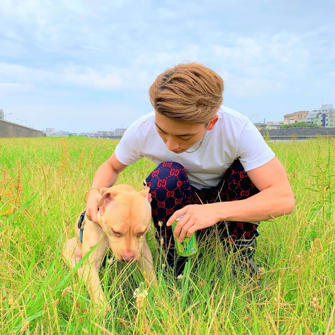 勧修寺玲旺のインスタグラム：「🐶👦」