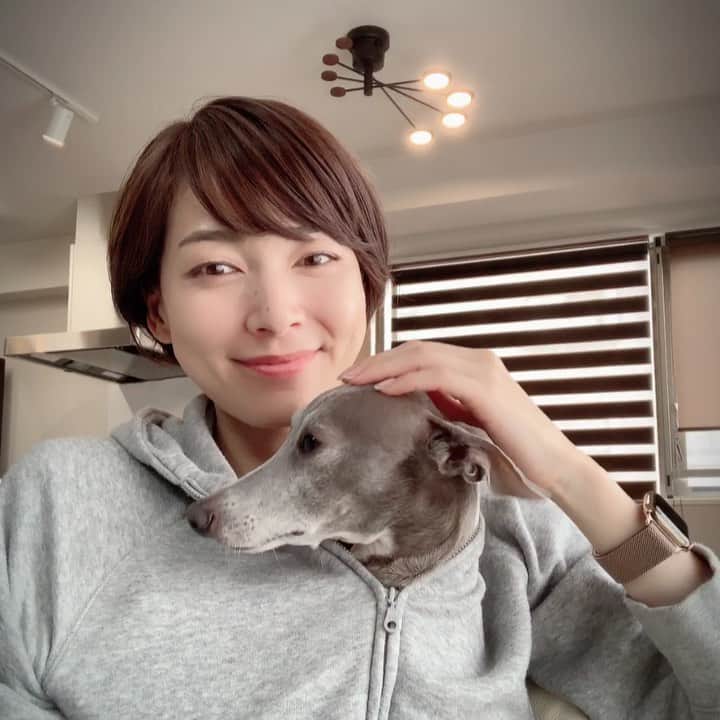 のインスタグラム：「* ******** Mother kangaroo and son kangaroo.🦘💕 * 家でも定位置。 もぞもぞと入ってきて、すやすやと眠ります☺️❤️ スリングに慣れているので、パーカーは最も密着できるスリングだと思っているのかもしれません😂❤️ ******** #イタグレ#イタリアングレーハウンド#italiangreyhound#dogstagram#イタグレとの暮らし#iggy#iggygram #iggylove#iggylife#いぬのいる暮らし#犬のいる暮らし#いぬバカ部#イタグレ服#iggysoftheworld #iggysofinstagram #dogsofig #dogsofinstagram #プチプラコーデ #犬好きな人と繋がりたい#オシャレさんと繋がりたい#犬服ハンドメイド#リンクコーデ#大分県#oita#おんせん県#おんせん県おおいた#おんせん犬おおいた #oitagram#oitaprefecture」