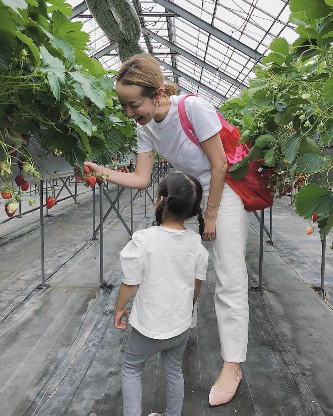 翁安芸さんのインスタグラム写真 - (翁安芸Instagram)「Strawberry hunting🍓🍓🍓 昨日は思い立ってはじめてのいちご狩りへ。娘が苺大好きなので、とっても喜んでいました😍 写真3枚目、今更ながらポートレート撮影の素晴らしさを実感✨ 心温かいいちご農園の方ありがとうございました🙏🏻❤️ #いちご狩り #いちご農園 #strawberry #weekend #ストロベリーハウス #akiweng #翁安芸 #momanddaughter」6月2日 18時22分 - akinyc