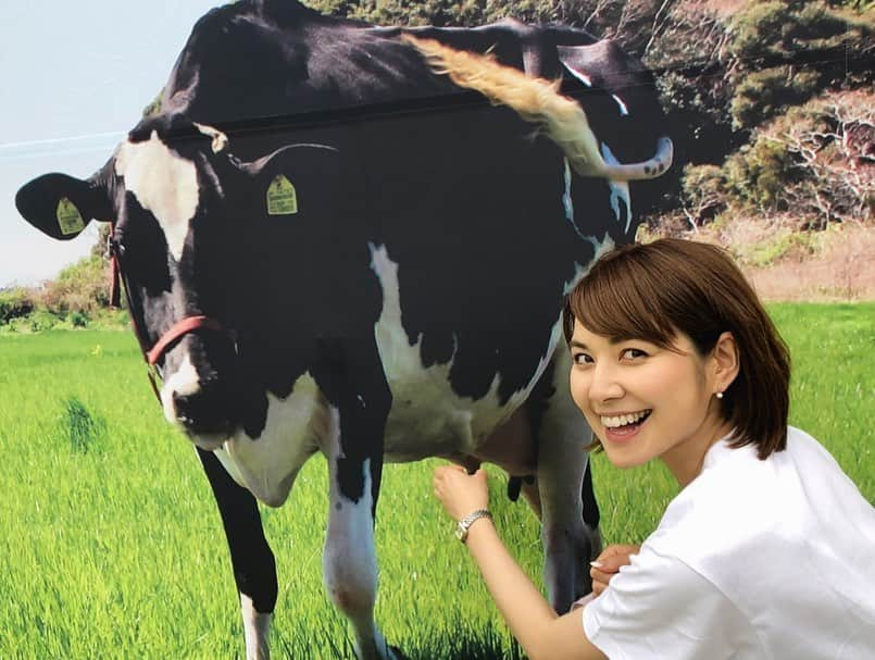 佐藤由季さんのインスタグラム写真 - (佐藤由季Instagram)「モ〜〜ゥ🐮最高でーす🧡 沢山の皆さんと出会えた ミルクフェスティバル2019🎤 お子さんから大人の方まで、先生方、 スタッフの皆さん、キャラクターたち、 そして今回の主役🐮牛さん🐮 二日間本当にありがとうございました☺️ #ミルクフェスティバル  #ミルクで乾杯  #世界牛乳の日2019  #WorldMilkDay  #EnjoyDairy  #牛乳の日  #牛乳月間  #千葉のお友達  #チーバくん  #森永カルダス くん #ガセリ金太郎  #ホームラン坊や  #小山浩子 先生 #ミルクドーナツ  #ミルクスープ  #石橋英明 先生 #ロコモ体操  #北総花の丘公園  #ステージMC  #ほぼほぼ牛のお姉さん （笑） #佐藤由季  #1枚目の写真は力作 （笑） #フォトスポット  #沢山の出会い  #ありがとうございました  #ジャイアンツ にも #再びカンパーーーーイ 🥛 #千葉から勝利の雄叫び  #最後はカレーで〆 （笑）」6月2日 18時35分 - yukisato0710