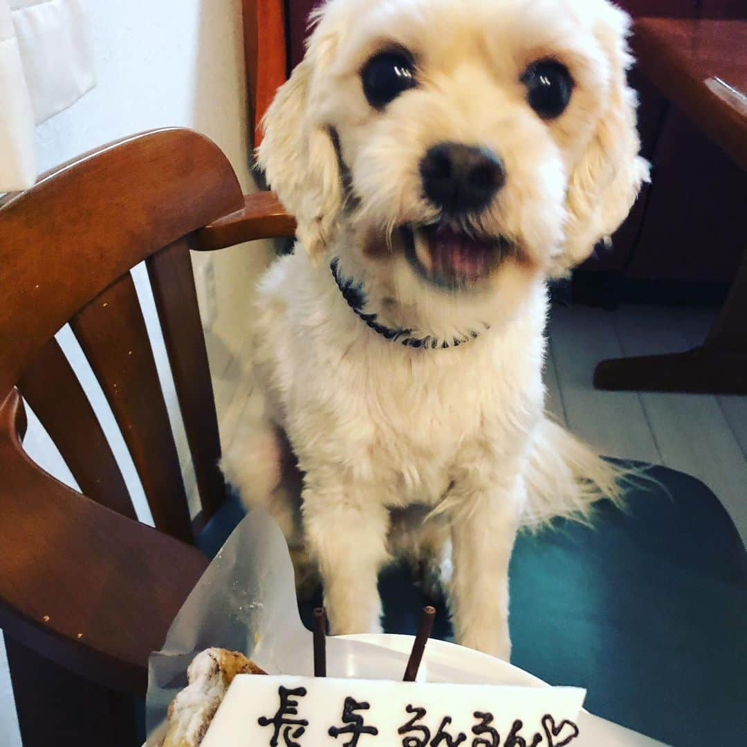 長与千種さんのインスタグラム写真 - (長与千種Instagram)「ケーキ🍰 ありがとう😊」6月2日 10時46分 - chigusanagayo