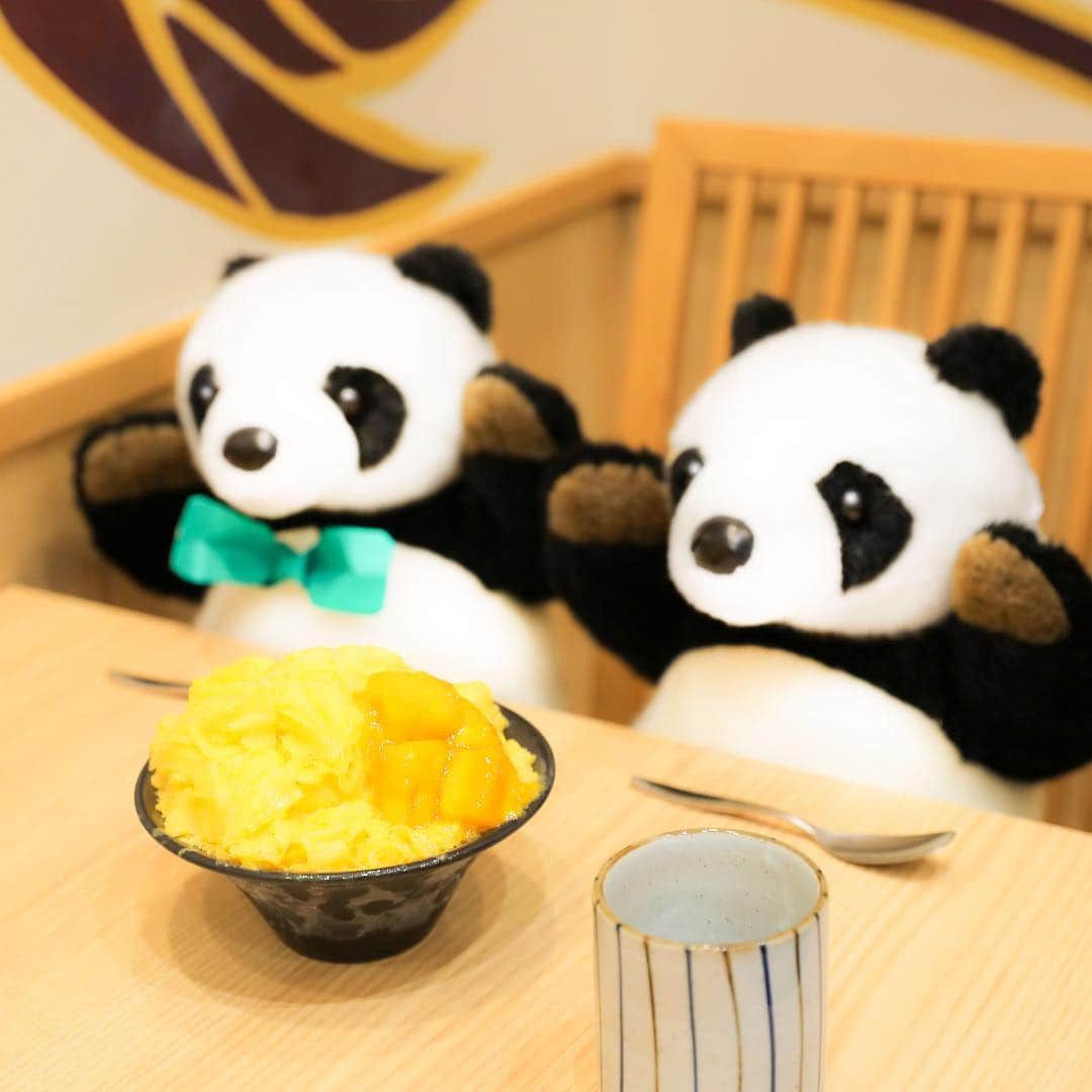 アトレ上野（atre ueno）さんのインスタグラム写真 - (アトレ上野（atre ueno）Instagram)「アトレ上野のレトロ館2Fにある「かつくら」に、季節限定の「スノーアイス」を食べにきたよ🐾 爽やかな甘みが病みつきになるカキ氷で、甘いマンゴーをたっぷりと使用🥭 ジューシーな果肉と一緒に食べれば、暑さも吹き飛びそうだね🐼💓 サッパリしたデザートだから、揚げ物を食べた後にぴったりだよ〜✨ ・ Here at Katsukura (atré Ueno Level 2) for their seasonal menu “snow ice” 🐾 Topped with bountiful sweet mango , the refreshing sweetness of the shaved ice is addictive! Stay cool and savour every mouthful with juicy mango flesh 🐼💓 This dessert is also perfect for cleansing your palate after deep-fried food! ✨ ・ 特別來到了atré上野第二樓的「かつくら」品嚐了季節菜單“雪花氷”🐾 這清爽又鮮甜的刨冰填滿了來自芒果，味道實在令人上癮！ 每一口的刨冰和甜美多汁的芒果肉既能解暑又能降溫 🐼💓 這絕對是吃完油炸食物後最佳的涼爽甜點！✨ ・ ・ ・ ・ #上野 #アトレ上野 #アトレ #atre #atreueno #パンダ #上野パンダ #上野散策 #熊猫 #東京觀光 #PANDA #🐼 #ueno #tokyotour #ぬい撮り #上野観光 #かつくら #かき氷 #マンゴースイーツ #夏季限定 #ひんやりスイーツ #夏スイーツ #フォトジェニックスイーツ #おやつタイム #インスタ映えスイーツ #かき氷部 #uenocafe #上野カフェ #パンダ好き #マンゴーかき氷」6月2日 10時52分 - atre.ueno