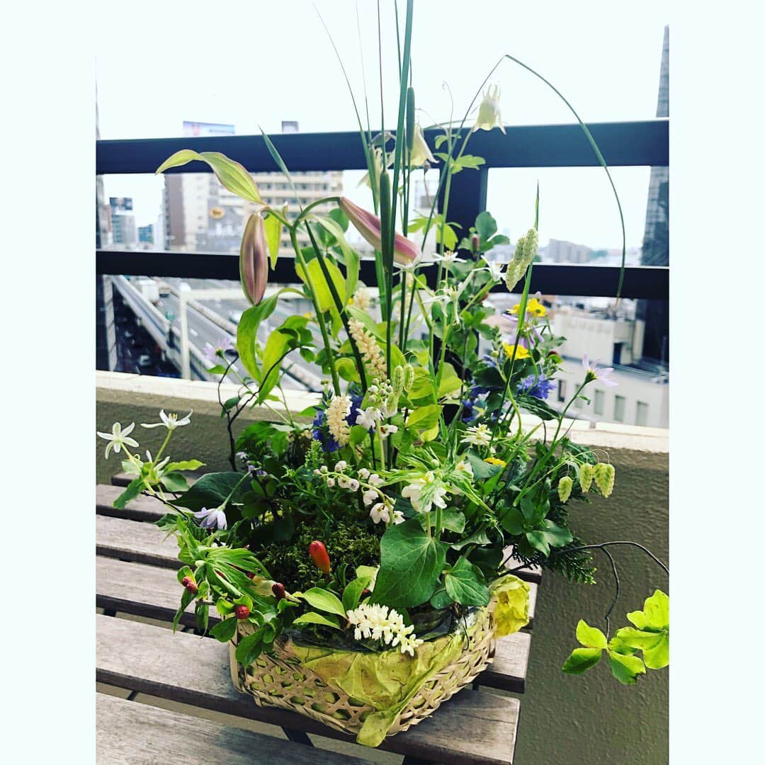 美甘子のグルメインスタ