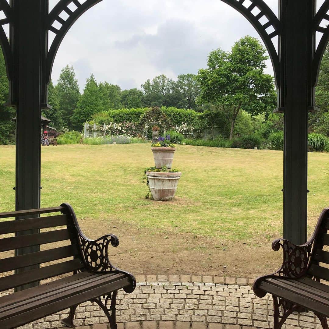 雨月衣さんのインスタグラム写真 - (雨月衣Instagram)「イングリッシュガーデンの一番奥。 ここのベンチで休むのが好き。 落ち着く。」6月2日 11時47分 - ugetsukoromo
