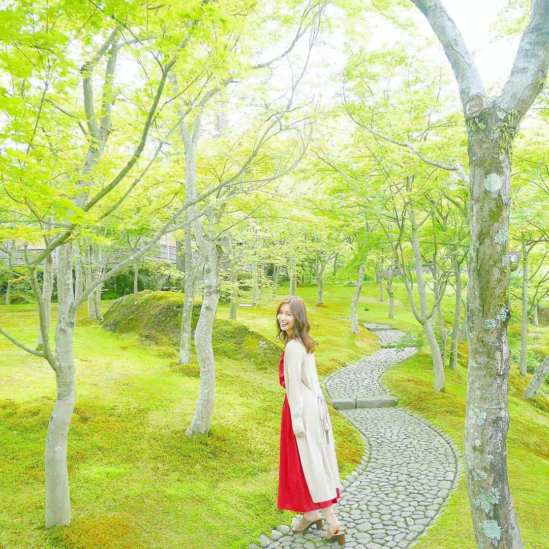 のインスタグラム：「* 意外と穴場ね箱根美術館🍃🌼 苔と緑の庭園が美しきで 今の時期良き良きよしき🍃🌼 箱根マスターにおらはなる♨️」