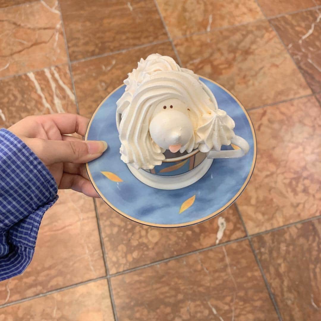 のインスタグラム：「. 横浜にある『フランス菓子 メーテルリンク』というカフェでは、白くてもふもふとした犬の見た目のメレンゲクッキー「カニッシュ（360円）」が味わえるんだとか♪他にも1品で大満足出来るようなフランスの伝統お菓子が沢山！ 見た目も楽しいカフェタイムを過ごしてみましょう♡ . 【フランス菓子 メーテルリンク】  住所 ：横浜市西区岡野１－１２－１８ 新倉ビル1F 営業時間：（月～土）9時30分～20時／（日）9時30分～18時 定休日 ：不定休 電話番号：045-314-0139 .  MERYでは他にも「かわいい」に近づくさまざまな情報を発信しています。  @mery.beauty コスメ・美容に特化した情報をお届け♡  @mery_spot 話題のカフェやお出かけスポットをご紹介！ こちらもぜひチェックしてみてください！ . .  photo by @____the.sea .  #MERY #regram #instagram #cafe #cookie#dog #cafe #yokohama #yokohamacafe #먹스타그램 #카페스타그램 #카페 #냠냠 #メーテルリンク #横浜 #横浜カフェ #メレンゲ #犬 #フランス菓子 #洋菓子 #神奈川カフェ #横浜グルメ #おしゃれカフェ #カフェ活 #カフェ #カフェ巡り #カフェ好きな人と繋がりたい #お洒落さんと繋がりたい #MERY女子 #メリー」