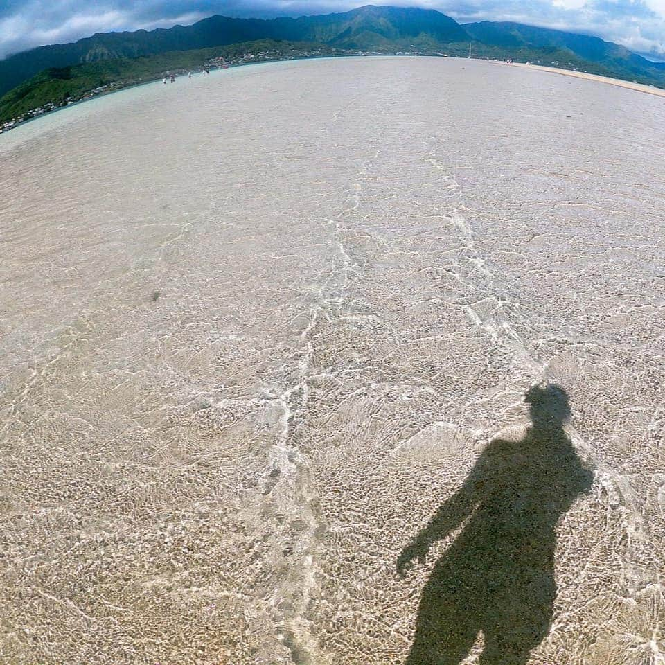 Luxury Cruise by Captain Bruceさんのインスタグラム写真 - (Luxury Cruise by Captain BruceInstagram)「🌺Relaxing day⠀ ⠀ ⠀ #captainbruce #sandbar #kaneohe #hawaii #oahu #oahulife #ahuolaka #aloha #キャプテンブルース #天国の海ツアー #天国の海 #アフオラカ #オアフ島 #ハワイ大好き #景色 #海」6月2日 12時09分 - cptbruce_hi