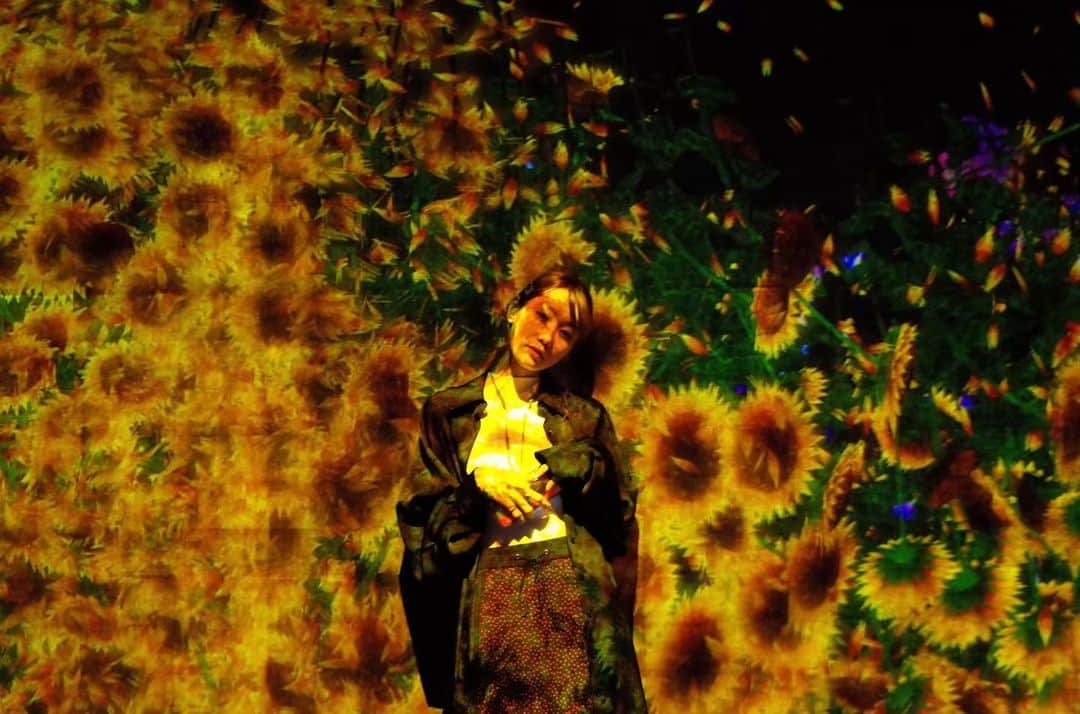 小林ようのインスタグラム：「🌻 #teamlabborderless . #teamlab #odaiba #tokyo #japan #sunflower #art #lighting #museum #チームラボ #お台場 #東京 #向日葵」