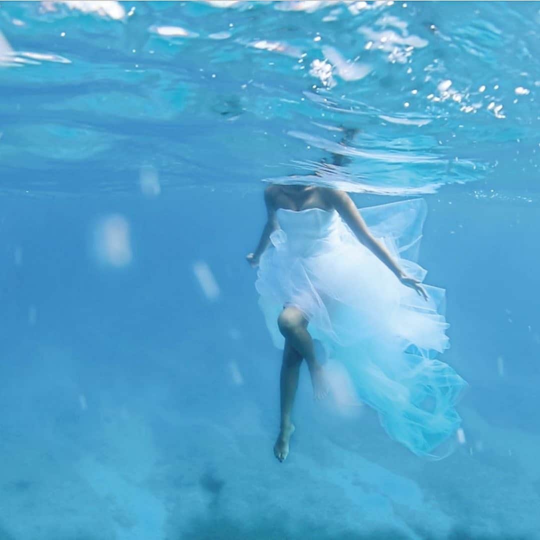 のインスタグラム：「#グレートコネクション を見てくださった皆様💓ありがとうございます〜！！ ウェット素材を用いた「水中で着られるウエディングドレス」 @allies___ （アリーズ）が、 ハワイ・ホノルルでクルージングフォトプランのサービスを開始しました！ また、 ドローンを用いた映像サービスの展開も行いますので是非チェックしてみてね🤗  Posted @withrepost • @cheers_photowedding * ハワイのフォトツアーならCheers Wedding。 * 【日テレ番組グレートコネクションにて放送されました！！】 * チアーズウェディングのフォトツアー、クルージングプランが放送されました♡ クルージングしながら、マリンドレスで撮影が出来るラグジュアリーフォトプランです！ . チアーズウェディング 表参道サロン ☎0120-128-838. 営業時間:11:00〜19:00 *********************** . ◆クルージング撮影プラン$3,900◆. . 【新プラン登場】 クルージングしながら、ウェディングフォトが撮影できるスペシャルプランです！ 期間限定$3,900➡︎$2,780に！！. 1,120ドルOFFになるお得なチャンスは今だけ！！. . ▫︎マリンウェディングドレス・タキシード @allies___ ▫︎ワイキキ～アラモアナ近郊への往復送迎. ▫︎人気カメラマン ▫︎撮影データ50カット. ▫︎クルージング . ハワイならではのロケーションで特別な思い出を！ *********************** ◆フォトツアー6月7月直前割キャンペーン実施中！！◆ * 6月1日〜6月15日までの期間中撮影限定、通常ビーチ撮影$690プランが$650に！！. 更にハクレイ$50相当もプレゼント！！ * 6月16日〜7月31日までの期間中撮影限定、通常ビーチ撮影$690プランが$670に！！. 更にハクレイ$50相当もプレゼント！！ * Instagram限定特典です。 * 8月9月の早割キャンペーンもSTART！ * * お問合せ・ご予約の際はこちらの記事をご覧いただいた旨お伝えくださいませ。. ※キャンペーンの併用不可 ※新規お申込みのお客様に限ります。 * * ◆ハワイでの手軽&web申込のCUTEなウェディングならこちら♪ @cheers_lilii . * ◆ハワイでのフルオーダーウェディングならこちら♪ @cheers_wedding * * 【お問合せ】 Cheers Wedding（チアーズウェディング） cheerswedding.jp/photo/ ☎0120-128-838. * #チアーズウェディング #チアーズウエディング  #ハワイウェディング #ハワイウエディング #フォトウェディング #リゾートウェディング　#フォトツアー #ハワイ旅行 #ハワイ挙式 #ハワイ婚 #cheerswedding  #hawaiiwedding #フォトシューティング #日本中のプレ花嫁さんと繋がりたい #ウェディングニュース #プレ花嫁　#卒花嫁 #前撮り　#結婚準備 #ハワイフォトツアー #グレートコネクション #ハワイプロデュース #ウエディングフォト #フォトウェディング #ロケーションフォト #マリンドレス #photowedding #weddingphotos #クルージング #ラグジュアリープラン」