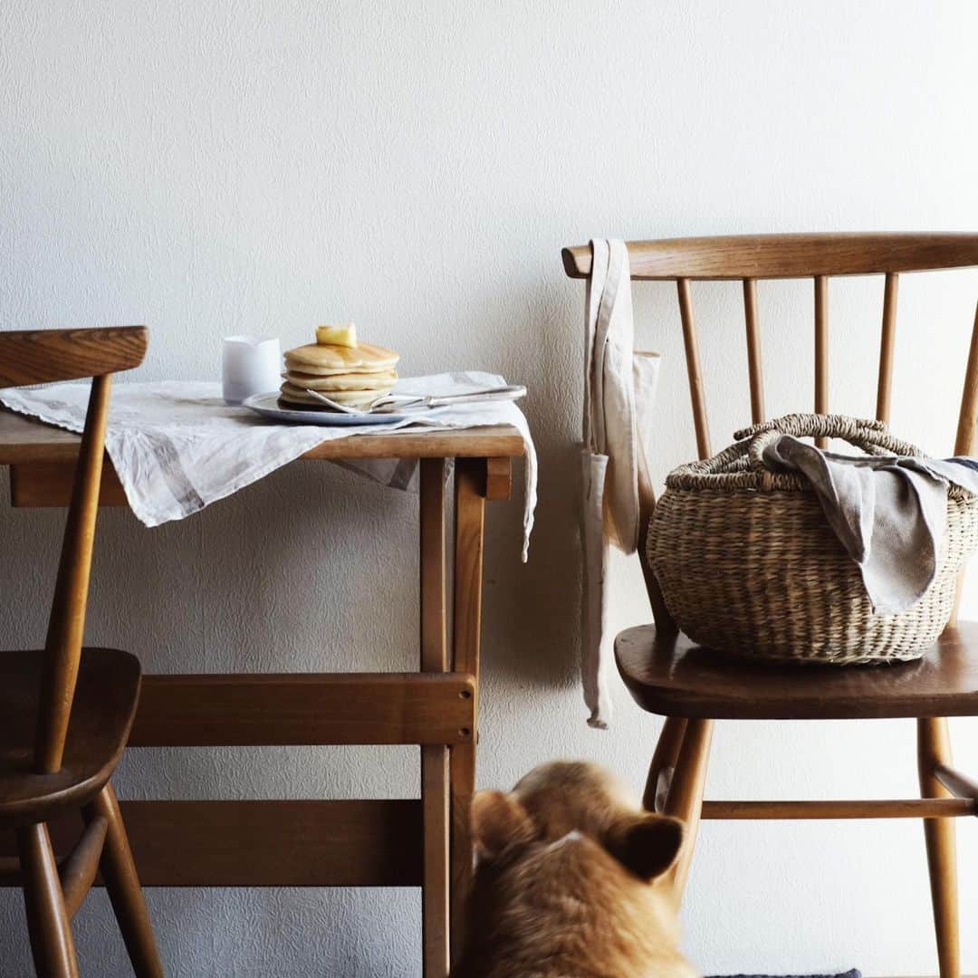 maggydaisyのインスタグラム：「_  昨日から蜂(たぶん蜜蜂)が3匹部屋に入ってしまって 何とか外に出したとき思っていたのに さっきまた1匹いた、、、 私もモアもぐったり 蜂、かなり苦手(TT)」
