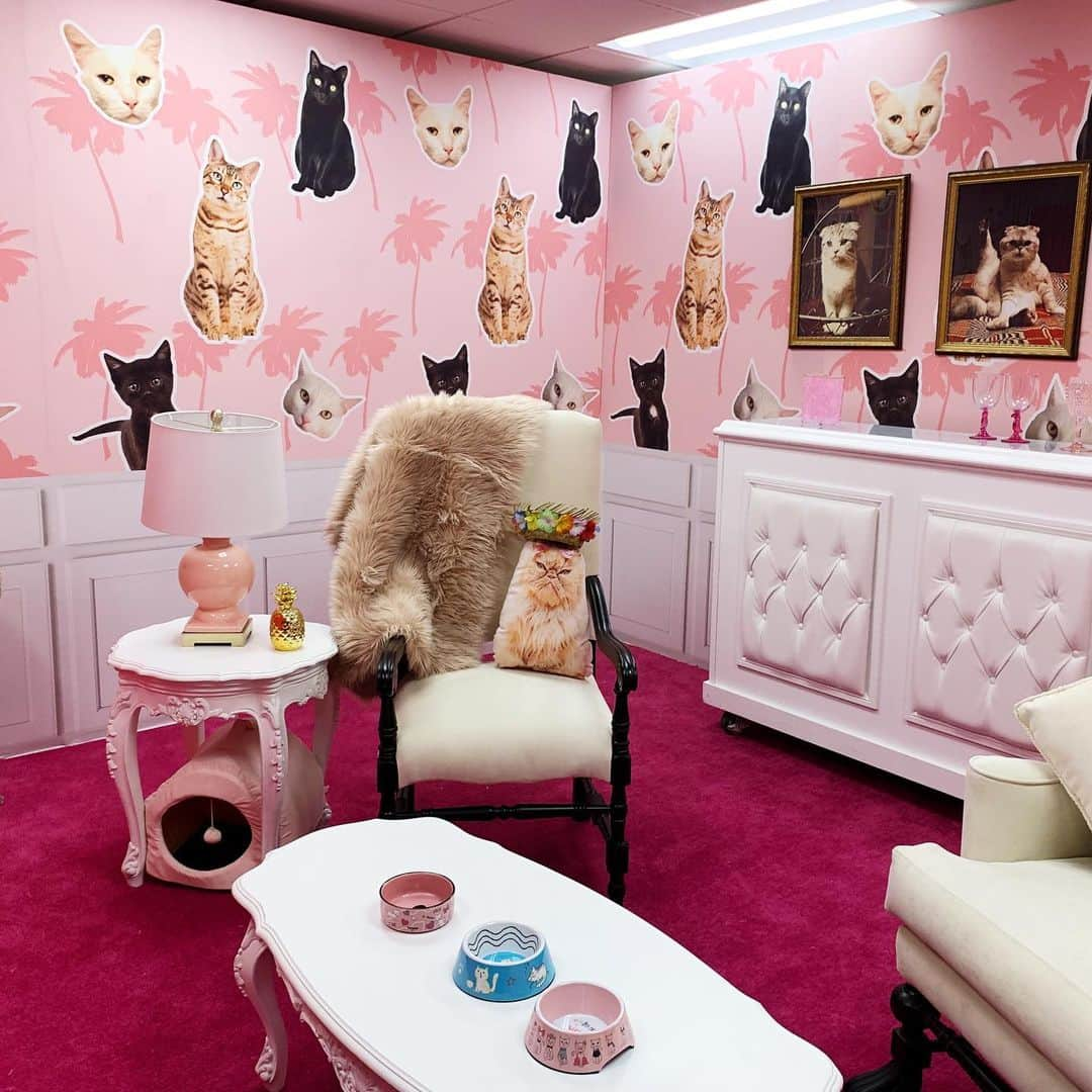 ライアン・シークレストさんのインスタグラム写真 - (ライアン・シークレストInstagram)「Designed the purfect catroom all for ME! ...and by “me” I mean @taylorswift. #WangoTango」6月2日 13時10分 - ryanseacrest