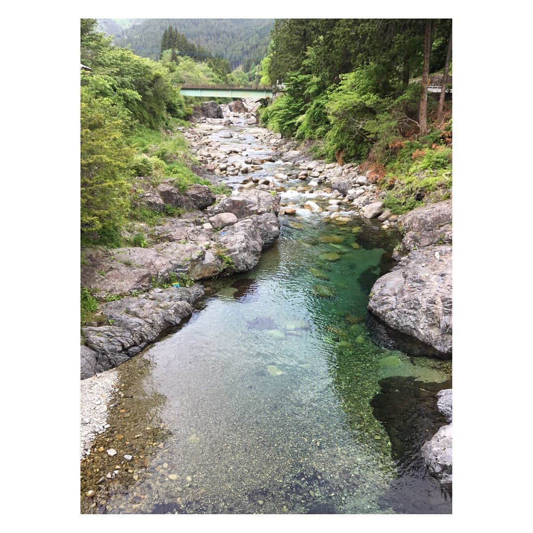 柳野玲子さんのインスタグラム写真 - (柳野玲子Instagram)「次回の釣りビジョン「参るぞ狼」は🐟 自然をとことん満喫してきました^ ^✨ 透明度の高い川からは鮎やヤマメが心地よさそうに泳いでいたり、山では山菜を採って天ぷらにしたり、野生動物をたくさん見たり… 最高に癒されました(*´꒳`*) 6月6日（木）22時〜初回放送、他 お楽しみに💓 #釣りビジョン #参るぞ狼 #ロケ #釣り #栃木県 #大芦川 #大芦川自然クラブ #関谷忠一 さん #とちぎ釣り大使 #自然 #大自然 #癒し #癒しスポット #マイナスイオン #パワースポット #鮎 #ヤマメ #山菜 #山菜採り #山菜の天ぷら #竹細工 #コケ玉 #山 #川 #野生動物 #五感磨き」6月2日 13時37分 - yanaginoreiko