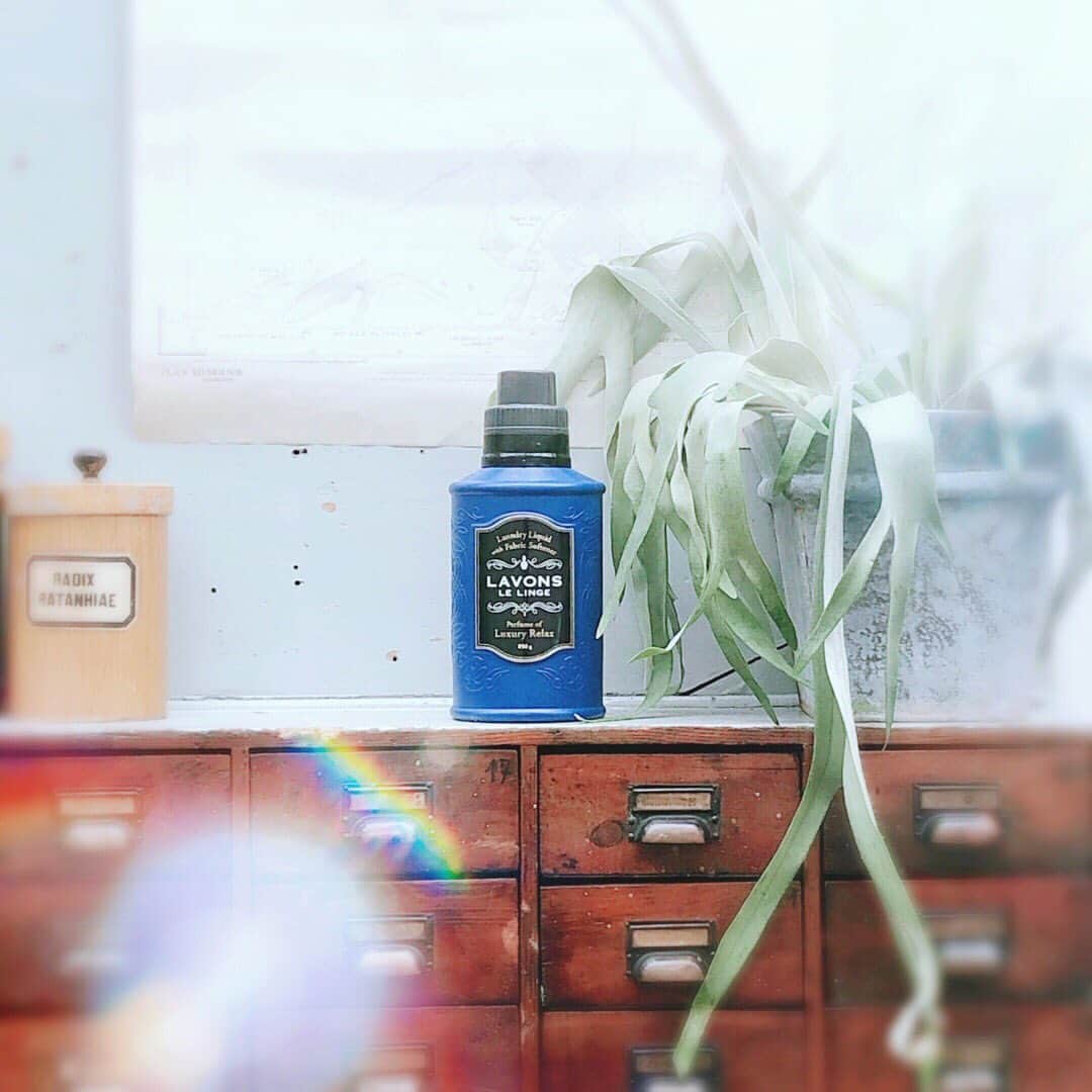 LAVONS / ラボンさんのインスタグラム写真 - (LAVONS / ラボンInstagram)「6月がスタートしましたね！ ラボンの柔軟剤入り洗剤は、これ一本でしっかり洗浄、大好きな香りが広がります。部屋干しなどのイヤなニオイも抑えてくれるので、これからの季節にもぴったりです。  #ラボン #LAVONS #ラグジュアリーリラックス #柔軟剤入り洗剤 #今日も恋するラボンする #梅雨のお洗濯」6月2日 13時43分 - lavons_insta