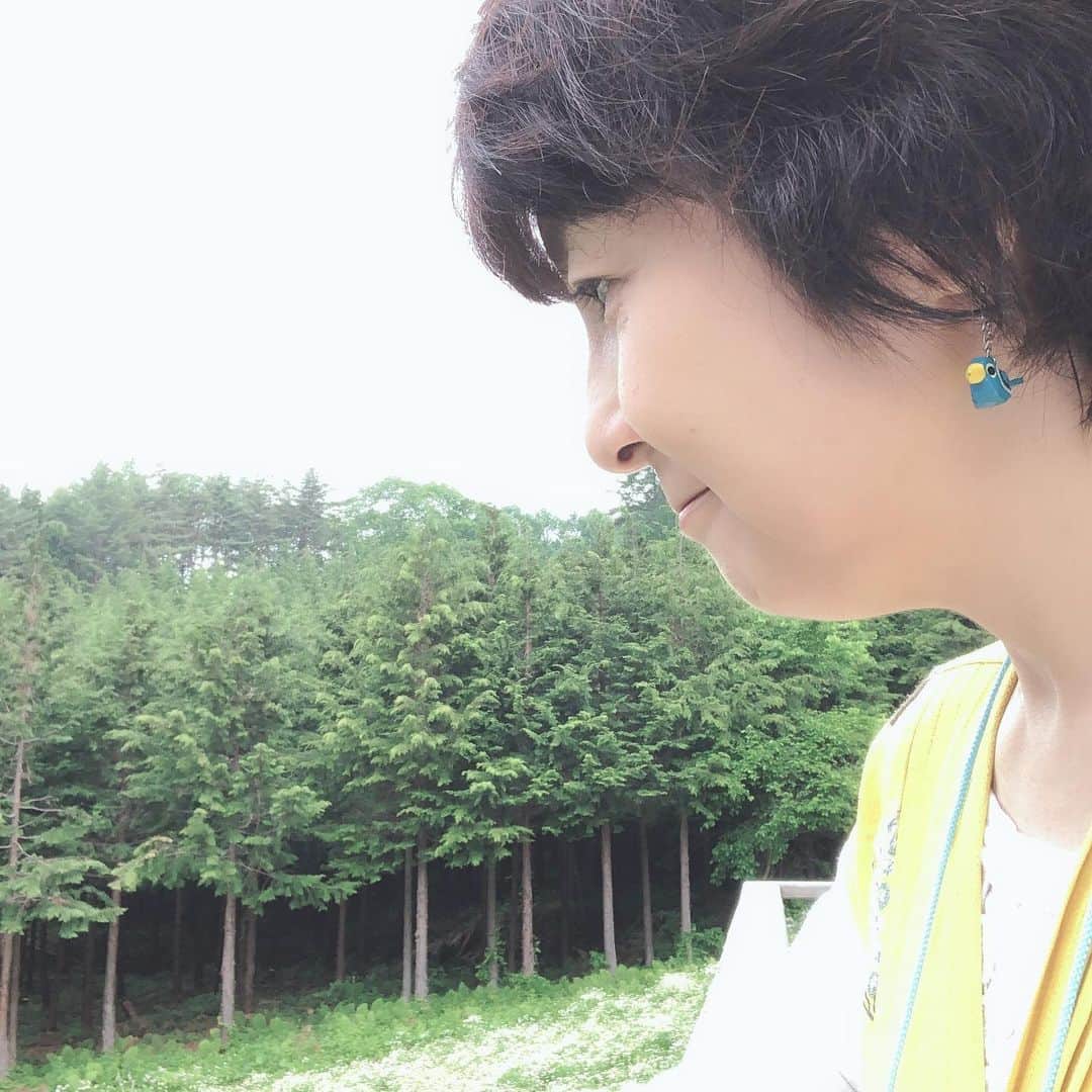 藤田朋子のインスタグラム