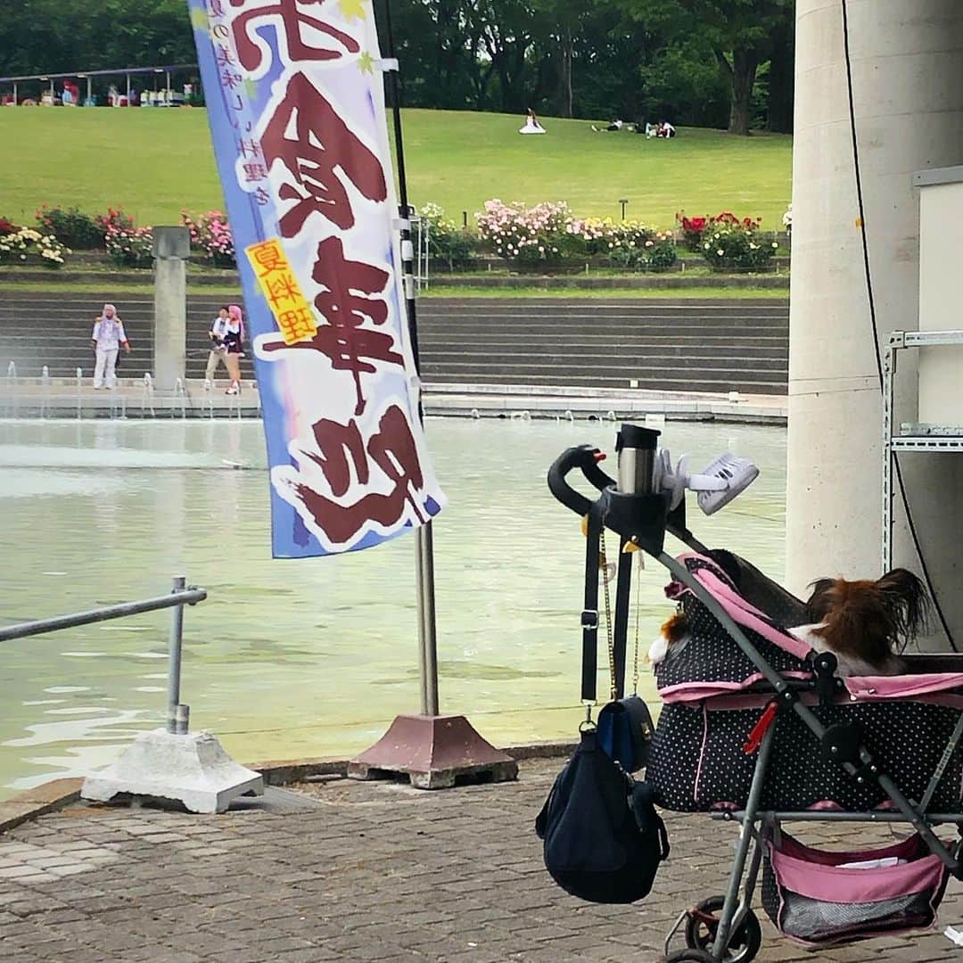 雨月衣さんのインスタグラム写真 - (雨月衣Instagram)「噴水の見えるレストランから。 遠くでコスプレイヤー。 それを見ているワンコ。 バラ園はコスプレ撮影会と犬祭り状態🐕だった。」6月2日 13時52分 - ugetsukoromo