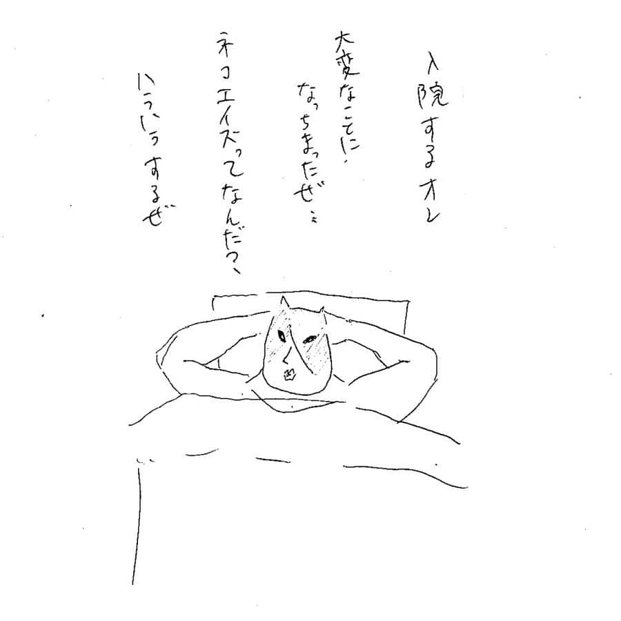 くまおさんのインスタグラム写真 - (くまおInstagram)「. 🐈ジーコの家族募集！🐈 追記:ジーコアカウントできました。 @i_am_zico_2019  ５月８日に東京都渋谷区で保護されたオス猫ジーコ(仮) 背骨と腰を骨折し、足を怪我した状態で、近所の心優しい人達(チームジーコ)に保護され、多くの方のご協力により手術を行いました。 . ２週間の入院を終え、昨日6/1無事に退院しました！ (一般社団法人くまお はジーコの保護活動のお手伝いをさせていただいてます。) . ジーコを保護した経緯はくまおのブログでお知らせしております〜 . そんなジーコを生涯可愛がってくださる方を探しています。 . 大きな手術をしたので、今後も経過を見守っていただけて、完全室内飼いで迎えてくださる方。が条件となります。 . ＜ジーコプロフィール＞ ・推定３歳オス ・去勢済 ・体重：５ｋｇ（ムチムチボディ） ・エイズキャリア。 ・食いしん坊。 ・今はまだ人馴れしておらず、  暴れん坊な一面があります。 ・なによりイケメン！です。 （くまお母基準） ・そしてそして、ジーコはかなりの強運をもっております！ . ジーコは手術をしていなかったら、生きられなかっただろうと先生がおっしゃっていました。 このチームに助けられなかったら… 優しい先生に出会わなかったら… ジーコはここにいません。 超ラッキーボーイなのです！ . チームジーコの1人、 ナゾの作家「Nハリ」画伯がジーコのマンガを描いてくれました。 写真📷2枚目からご覧ください この続編「おれはジーコ②」を 今日更新したブログに公開しました〜🐈 . ジーコ支援についても書かせていただきました。 . ジーコについての質問や、ジーコ支援についてのお問い合わせは、DMやプロフィールの✉️から、 くまお母までお気軽にお知らせくださいませ〜🐻」6月2日 14時08分 - kumaokamako