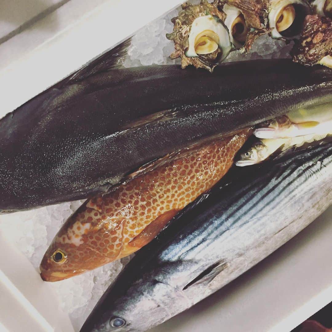 hanatsubaki029のグルメインスタ