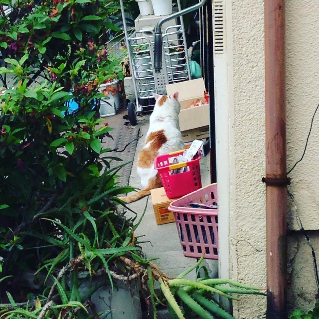 きたばのグルメインスタ