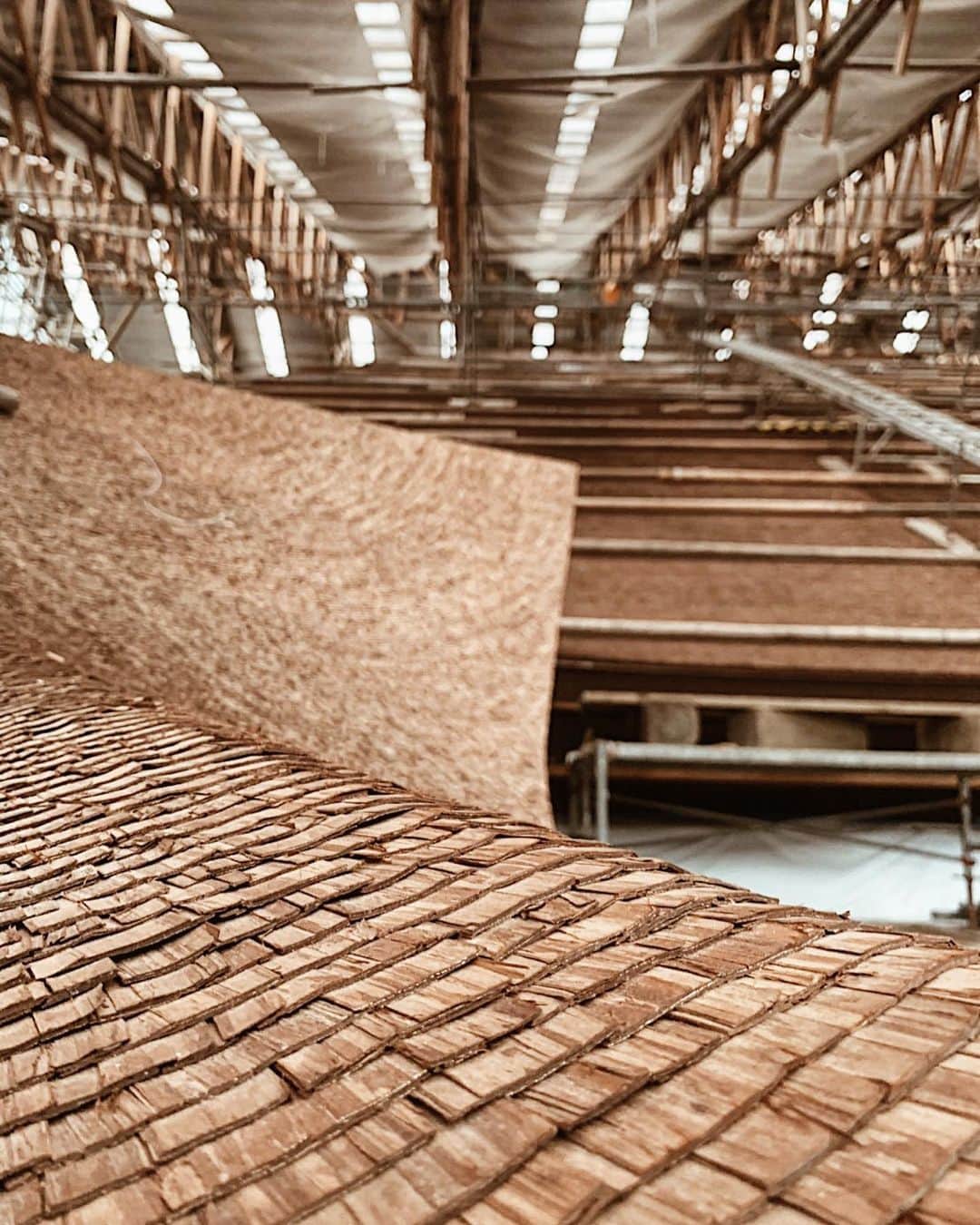 三浦大地さんのインスタグラム写真 - (三浦大地Instagram)「清水寺の檜皮屋根が50年に1度の葺き替え工事をしているという現場に特別に入らせて頂きました。  遠くからでは全く分からなかったのですが、細やかに檜の皮を何百層にも重ねてしかも綺麗なプリーツみたいに沢山並んでるのです。  これは根気のいる作業でしかも屋根の曲線美は本当に綺麗。  清水寺は京都一の観光地という認識でしたが、京都一の観光地になるべく美しさがあるという根拠に辿りつけた気がしました。  沢山の方々に来てもらえるよう美しくあるべく寺、清水寺なんですね。  #清水寺 #kiyomizuderatemple #京都 #kyoto」6月2日 15時18分 - daichi_1127