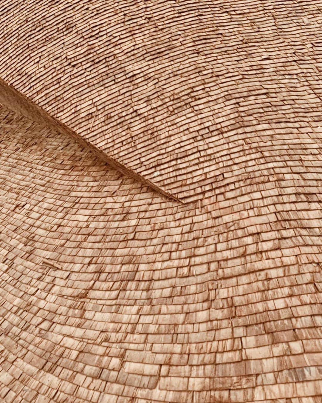 三浦大地さんのインスタグラム写真 - (三浦大地Instagram)「清水寺の檜皮屋根が50年に1度の葺き替え工事をしているという現場に特別に入らせて頂きました。  遠くからでは全く分からなかったのですが、細やかに檜の皮を何百層にも重ねてしかも綺麗なプリーツみたいに沢山並んでるのです。  これは根気のいる作業でしかも屋根の曲線美は本当に綺麗。  清水寺は京都一の観光地という認識でしたが、京都一の観光地になるべく美しさがあるという根拠に辿りつけた気がしました。  沢山の方々に来てもらえるよう美しくあるべく寺、清水寺なんですね。  #清水寺 #kiyomizuderatemple #京都 #kyoto」6月2日 15時18分 - daichi_1127