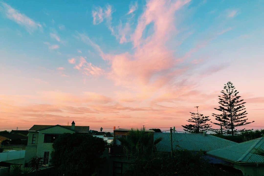 田代凪沙さんのインスタグラム写真 - (田代凪沙Instagram)「Western Cape 🇿🇦❄️🧡🐾 #PandEdirections #vanssurfproclassic  #southafrica」6月2日 15時46分 - nagisatashiro