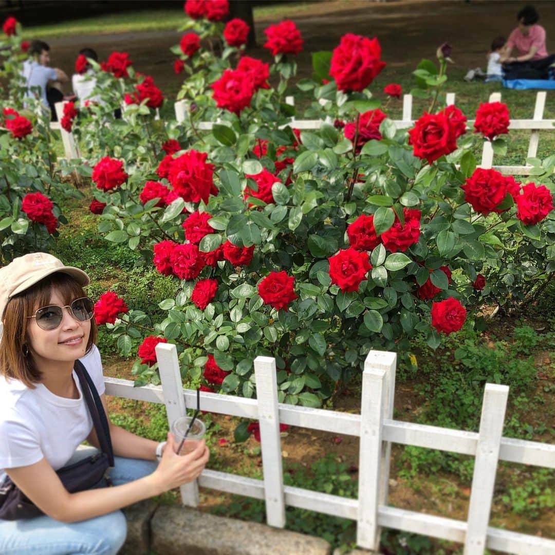 池田彩さんのインスタグラム写真 - (池田彩Instagram)「🌹🌹🌹 薔薇シーズンですなぁ❤️ #flower #rose #花 #薔薇 #red #beautiful」6月2日 16時06分 - aya_ikeda_official