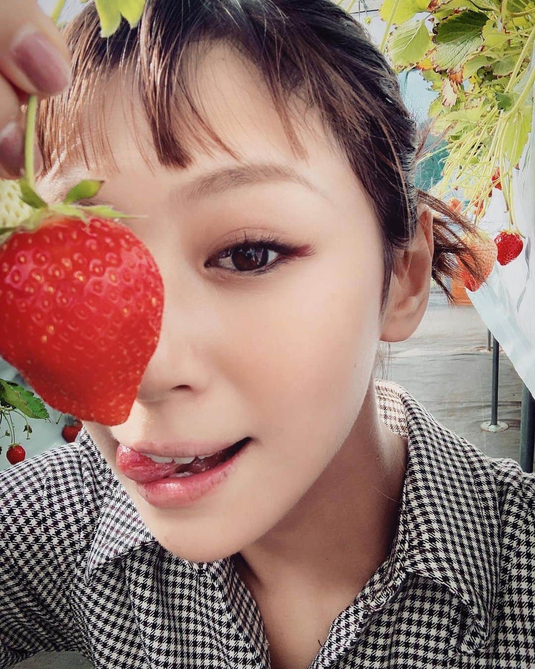 西内まりやさんのインスタグラム写真 - (西内まりやInstagram)「やっほーーーい🍓🍓🍓🍓🍓 いつぶりだろう イチゴで満腹幸せ。 どれだけお腹すいてても40分は食べ続けられない。」6月2日 16時24分 - mariya_nishiuchi_official