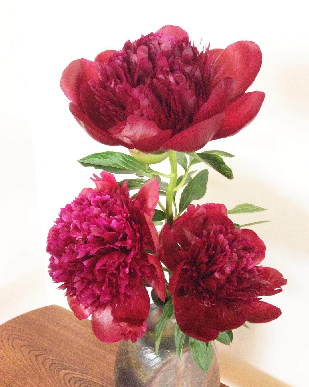 祥吉のグルメインスタ