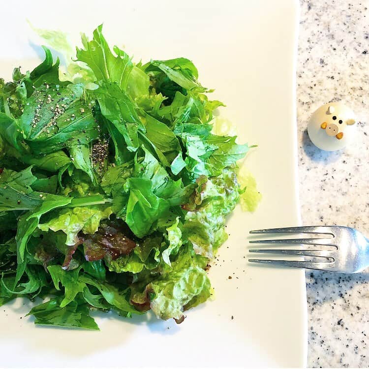 榊山敬代のインスタグラム：「🕊… ・ 緑色が食べたい日曜日では グリーンサラダランチの巻  #サニーレタス さん #水菜 さん #ルッコラ くん  チーズもスリスリしたかったけど 緑色の香りをご馳走にするために  手づくりドレッシングで みずみずしくシンプルに … ・ 🥬🍴… ・  ところで昨夜は作業おわらなくて 就寝３時前となってしまったので  寝不足かとおもいきや テンション高い日曜日  掃除洗濯乾燥同時進行完了也 🧹🧼… ・  そして  最後の個展チラシの 郵送準備も完了して  ちょっとひと段落に浸ってみながら やること沢山なの知らないふりの術 ・ ・ ・ ・ ・ ・ 🕯展示情報… ・ 『 榊山敬代日本画展 』 … 〈Fancy〉  うつろい色の物語  会期：令和元年6月22日(土)〜7月7日(日) 会場：株式会社 豆子郎  豆子郎の里 茶藏唵内 御迎処 … ・ (山口市大内御堀一丁目1番3号) 開館時間／10:00〜17:00 ※6月22日に限りましては22時まで開館  入場料 無料  作家在廊日 6月22日  https://toushirou.info/shop/sakuraan/sakurakan ・ ・ 主催 協賛／株式会社豆子郎 ・ ・ ・ ---------------------------------------- ・ ・ ・  この度は 山口の老舗和菓子店 株式会社豆子郎  豆子郎の里 茶藏唵内 御迎処にて 日本画展を開催いたします。  四季を感じ 季節を敬う日本人の心を伝える 日本庭園「大内四季庭」が一望できます  茶藏唵内 御迎処 を会場にて  榊山敬代 代表作シリーズであります 『Fancy』シリーズを通して うつろい色の物語 をお届けいたします。  展示初日の6月22日夏至では 毎年恒例の豆子郎キャンドルナイトが 開催されます機会に 今期はキャンドルの灯りでFancyの世界を鑑賞する  新たなこころみの日本画展を開催いたします。  また翌日23日より七夕までの期間では 自然光の気配と共に清々しき絵肌へ心を寄せて  日本画の うつろい色 の世界をご堪能ください… ・ ・ ・ ・ ・  #Sunday #6月 #green #緑色  #ランチ #lunch #サラダランチ #vegetable #healthy この後 #チョコ食べました #artist #cooking #日本画家 の #お料理こんなもん #野菜 #切っただけ #sunnylettuce #rucola」