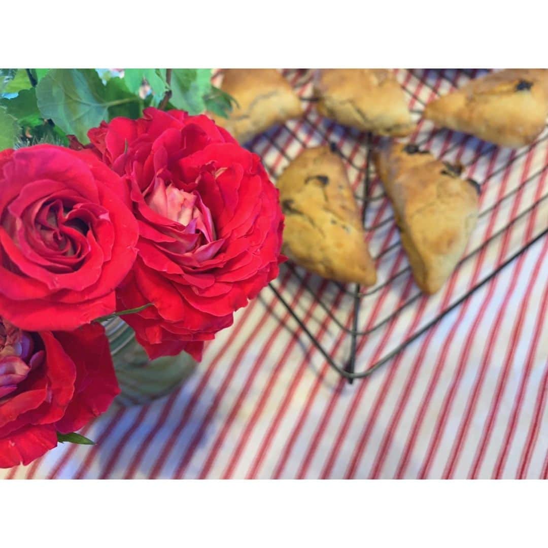 澤田愛美さんのインスタグラム写真 - (澤田愛美Instagram)「. バナナスコーンを作ってみた👩‍🍳🍌 ちょっと焼きすぎちゃったから、 写真はバラの後ろ😂🙌 .  #おかし作り #スコーン」6月2日 16時57分 - amy____oxox