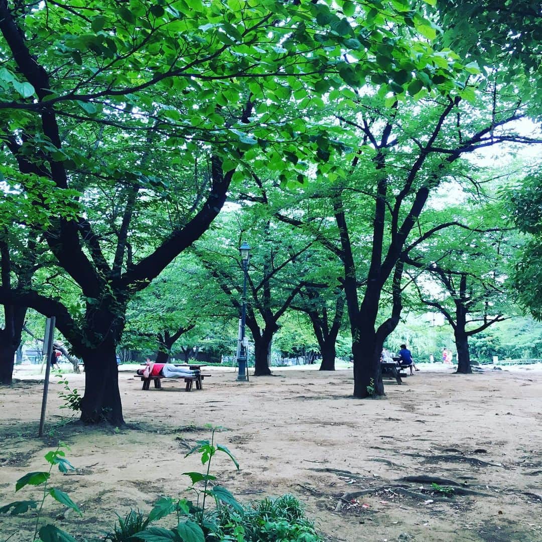 猫沢エミさんのインスタグラム写真 - (猫沢エミInstagram)「私も公園で寝てみたかったな〜今日。  ぼんやりとしていたけれども、空気が柔らかくて気持ち良い日でした。私は仕事から仕事へ飛ぶ夜の蝶となりました。🦋✨ #東京下町時間」6月3日 2時38分 - necozawaemi