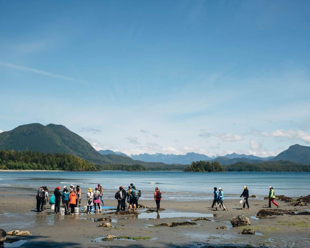 サイモン・ネスマンさんのインスタグラム写真 - (サイモン・ネスマンInstagram)「@cedar.coast Field Station is a place for ecological research and education— a place to come and connect with the natural world that sustains us all. ⁣⁣ ⁣⁣ As the late biologist Stephen Jay Gould explained, “We cannot win this battle to save species and environments without forging an emotional bond between ourselves and nature as well - for we will not fight to save what we do not love.” ⁣⁣ ⁣⁣ Join the fight to save this beautiful planet that we all call home. Where does one start? Develop a deeper connection to nature by getting in to it, literally. Go for a walk in the park, or on the shoreline, or wherever you can find a little slice of that resilient force we call nature. ⁣⁣ ⁣⁣ To support @cedar.coast in our mission to preserve ecological health through place-based research and education that celebrates the cultural and biological diversity of Clayoquot Sound— a unesco biosphere reserve— please donate by following the link in my bio. ⁣⁣ ⁣⁣ If you want to learn more about the work we do @cedar.coast please visit our website at cedarcoastfieldstation.org. ⁣⁣ ⁣⁣ Thank you to everyone who has joined our World Oceans Day fundraising campaign. Thank you to the Keltsmaht and Ahousaht for allowing us to work in their beautiful territory. Thank you to @briankelleyphoto for capturing this moment. ⁣⁣ ⁣⁣ ⁣⁣ ⁣⁣ ⁣⁣ ⁣⁣ #worldoceansday #saveourseas #keepouroceansclean #wildlifeconservation #marinebiology #oceanscience #oceanconservation #marineconservation #wildsalmon #microplastics #marinebiologist #tofino #ocean #sustainable #environment #environmental #environmentalscience #ecological #conservation #donations #ilovebc #sharevi #sharevancouverisland #pnw #beautifulbritishcolumbia #britishcolumbia #explorevancouverisland #keepitwild」6月3日 2時50分 - simon.nessman