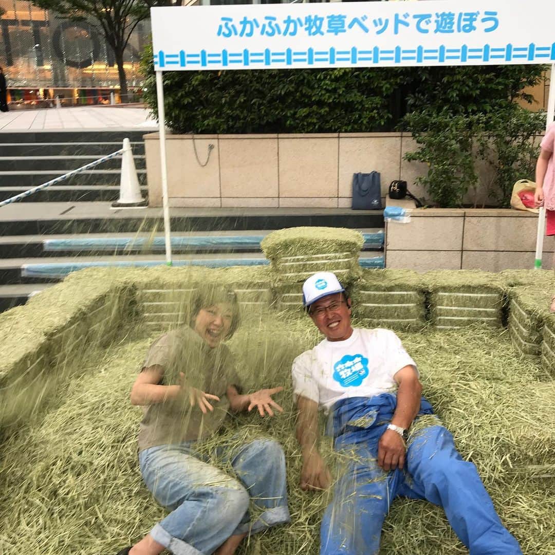 小谷あゆみのインスタグラム：「#六本木牧場 へ行ってきましたー 6/1は #世界牛乳の日2019  #WORLDMILKDAY！ 六本木から〜〜埼玉の牧場へテレポーテーション！ 消えます！ 酪農教育ファームを20年前、創生期から支えた坂戸市の亀田さんと牧草ベッド〜〜^_^ 草の香りがなぜか懐かしいー！ アメリカ産のプレミアムな一番チモシーで、牛より馬が食べる高級牧草！ 稼ぎのいいサラブレッドのセレブ牧草は香りも違う〜〜 #6月は牛乳月間🥛 #背中がかゆいなう」