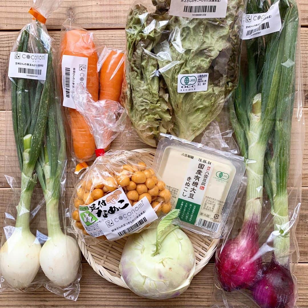 aya*** さんのインスタグラム写真 - (aya*** Instagram)「* 2019.6.2 Sunday * * 夜勤明けで帰省した娘と一緒に晩ご飯🍚 * ○おトクぎょうざとコールラビの中華スープ ○鰹のタタキのサラダ ○鶏むね肉とナスのオイスター炒め ○冷奴 * * 餃子工房RON @mimatsu_gyouzakoubou_ron さんから提供していただいた、おトクぎょうざをスープに使ったら 餃子からも旨味が出て美味しいスープに◎ * そして今日使った野菜は ココノミ @coconomi_141 さんの安心安全な無農薬野菜♩ * 今週届けてくださったお野菜は↓ ○井上さんのサニーレタス(兵庫県産) ○宮崎さんの葉玉ねぎ・白(長野県産) ○宮崎さんの葉玉ねぎ・赤(長野県産) ○木村さんの豆腐・有機大豆きぬこし(兵庫県産) ○岡本さんの足つきなめこ(奈良県産) ○柳澤さんの人参(鹿児島県産) ○西前さんのコールラビ(奈良県産) * この中からスープにはコールラビと葉玉ねぎ(白)、人参、なめこ。 サラダには サニーレタスと葉玉ねぎ(赤)、 あとは冷奴に有機大豆きぬこしを。 今回 、初めましてのコールラビ！ ドイツ語で「キャベツとカブ」という意味だそう。 生でも加熱しても カリウムやビタミンCなどの栄養価は変わらずいただけるそうやけど クセがない淡白なお野菜で 大根っぽい食感でした◎ * 久しぶりに野菜をモリモリ食べれて 身体が喜んどるけど なんゆうても １人で食べるよりご飯より 娘と一緒に食べるご飯は美味しかった😊 #母の日のプレゼントありがとうね * * #前橋餃子#ロン餃子#餃子工房ロン #ココノミ#無農薬野菜  #dinner#foodpic#igersjp#locari_kitchen#Japanesefood#aya_aya飯 #今日の晩ごはん#フーディーテーブル #晩ごはん#晩ご飯#夜ごはん#夕飯#夕食#クッキングラム#おうちごはん#料理#暮らし#日々#日々の暮らし#おうちごはんLover#常備菜#作り置き」6月2日 20時14分 - aya_aya1128