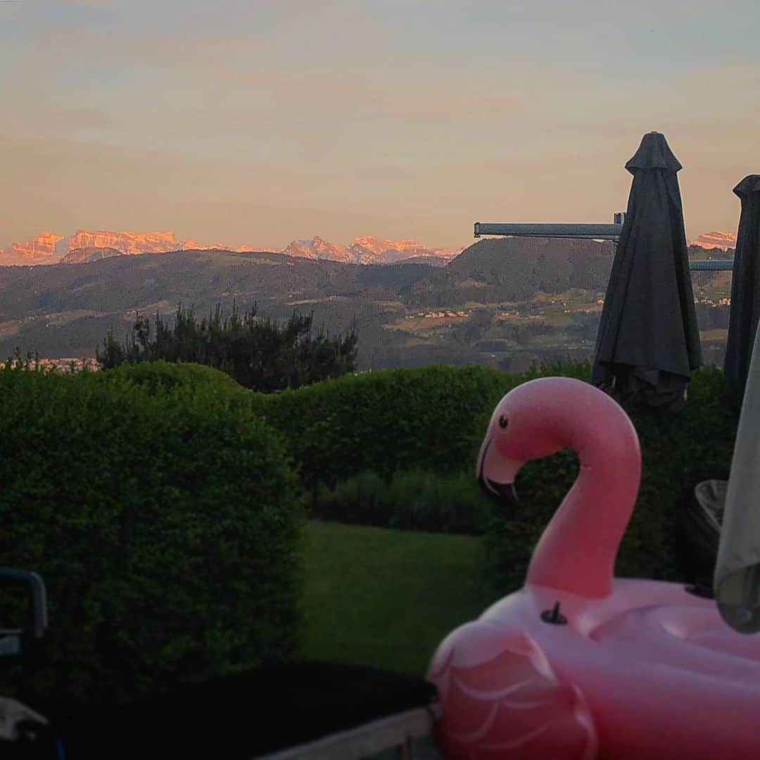 ニック・ハイドフェルドのインスタグラム：「Enjoying the view on top of #lakezurich yesterday night  was probably more exciting than the final yesterday... . . . #summerishere #flamingo #mountain #sky」