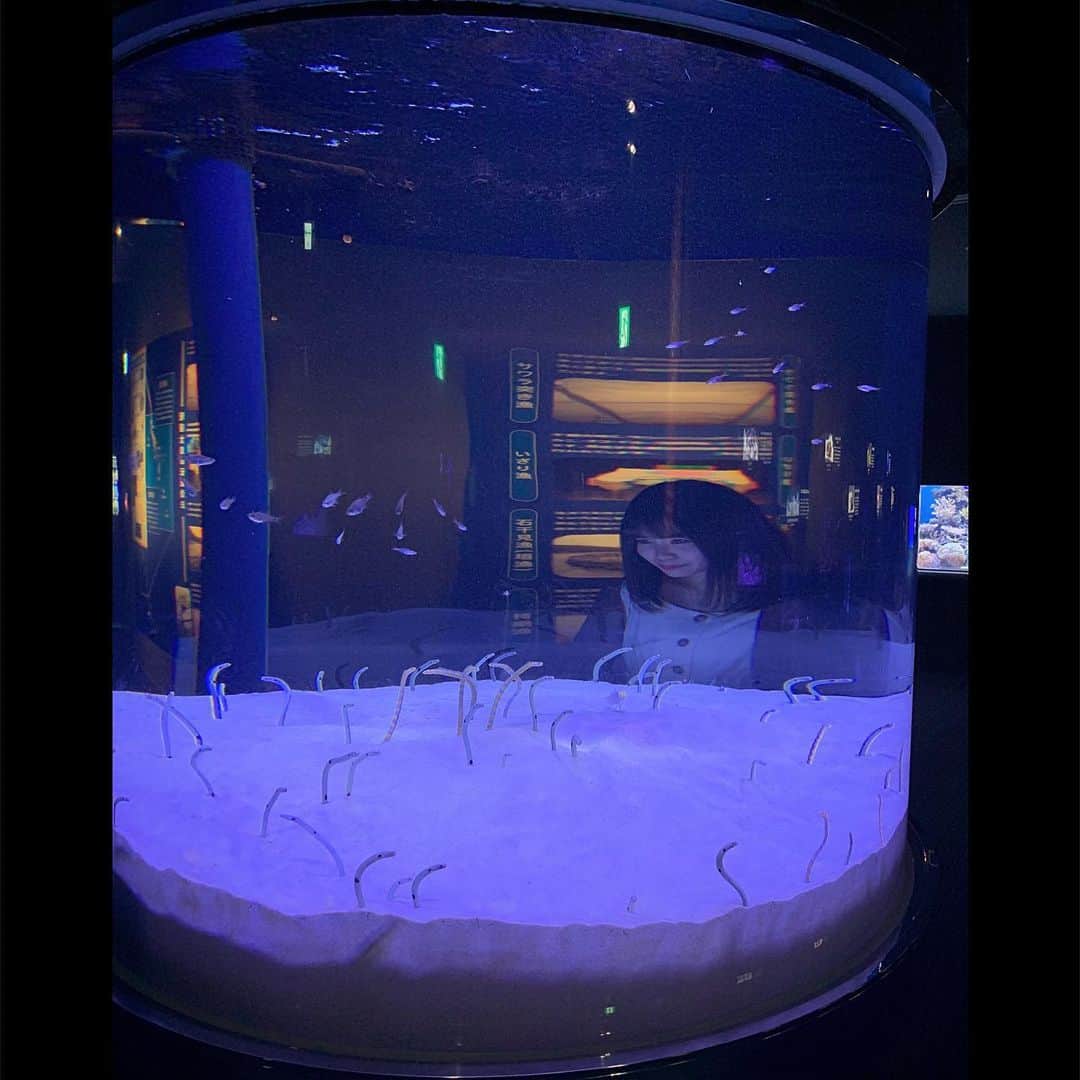 渕上舞さんのインスタグラム写真 - (渕上舞Instagram)「水族館デート🐠﻿♡ ﻿ ﻿﻿ #海の中道 #マリンワールド #水族館﻿ #福岡 #美桜が誘ってくれました﻿ #6月最初のおでかけ #今日じゃないよ #写真たくさん #全部見てね」6月2日 20時45分 - mai_fuchigami_48