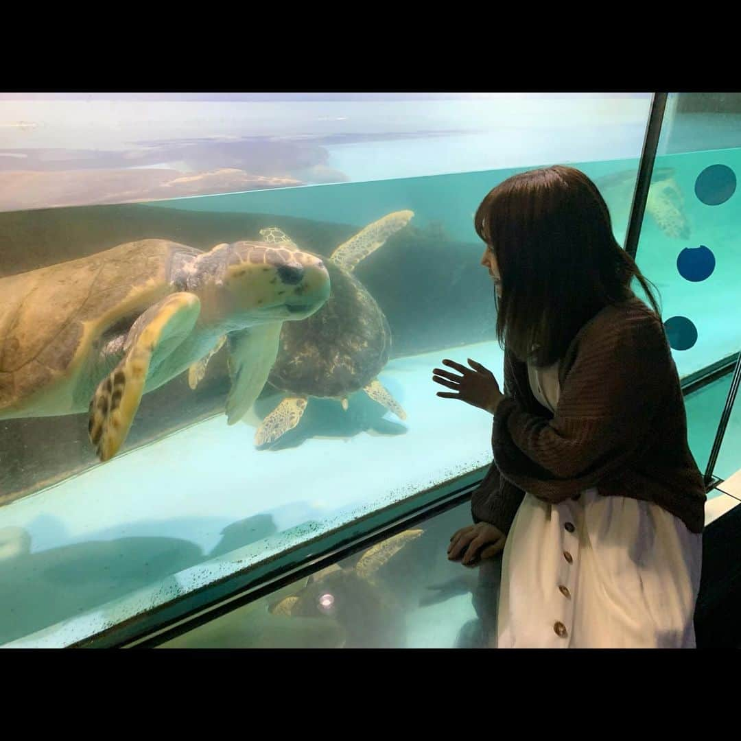 渕上舞さんのインスタグラム写真 - (渕上舞Instagram)「水族館デート🐠﻿♡ ﻿ ﻿﻿ #海の中道 #マリンワールド #水族館﻿ #福岡 #美桜が誘ってくれました﻿ #6月最初のおでかけ #今日じゃないよ #写真たくさん #全部見てね」6月2日 20時45分 - mai_fuchigami_48