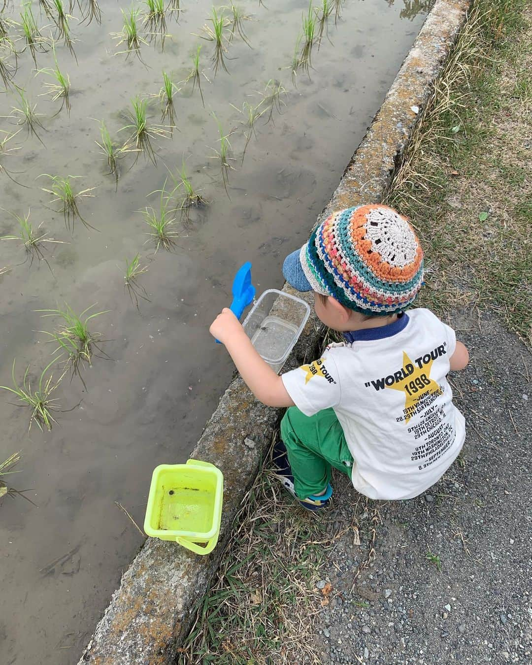 浅利そのみさんのインスタグラム写真 - (浅利そのみInstagram)「きょうは野菜の畑を巡って、きゅうりやナス、ピーマン、トマトの生育パトロール。からのおたまじゃくし取り。帰り道、おたまじゃくしが気になって、全然前に進まず。最終的にはバッグを持つような姿に、、、梅もぎもして、さくらんぼも取って食べ、大満足の1日でした！ #ちょび平 #ちょび平さん #息子2歳10ヶ月 #おたまじゃくし #泥だらけ #なぜ白い服で行ったのだ  #山梨 #南アルプス市 #子育て」6月2日 20時57分 - asarisonomi