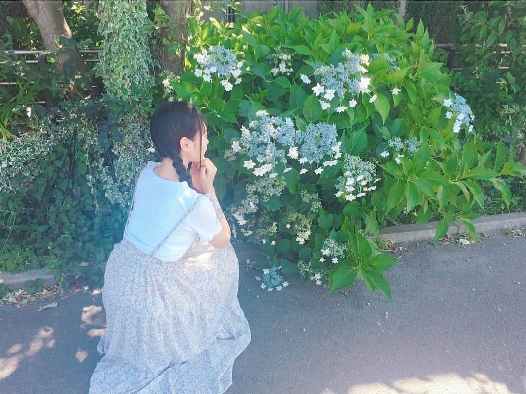 大盛真歩さんのインスタグラム写真 - (大盛真歩Instagram)「🌿☔️ . 今日も綺麗な紫陽花を沢山観ました❁︎ . お花の中で紫陽花は結構上位で好きなんです、、、#てもでもの涙 を聴きたくなっちゃう😢💭 . #梅雨 #紫陽花 #flower #instagood」6月2日 20時51分 - maho_usagi