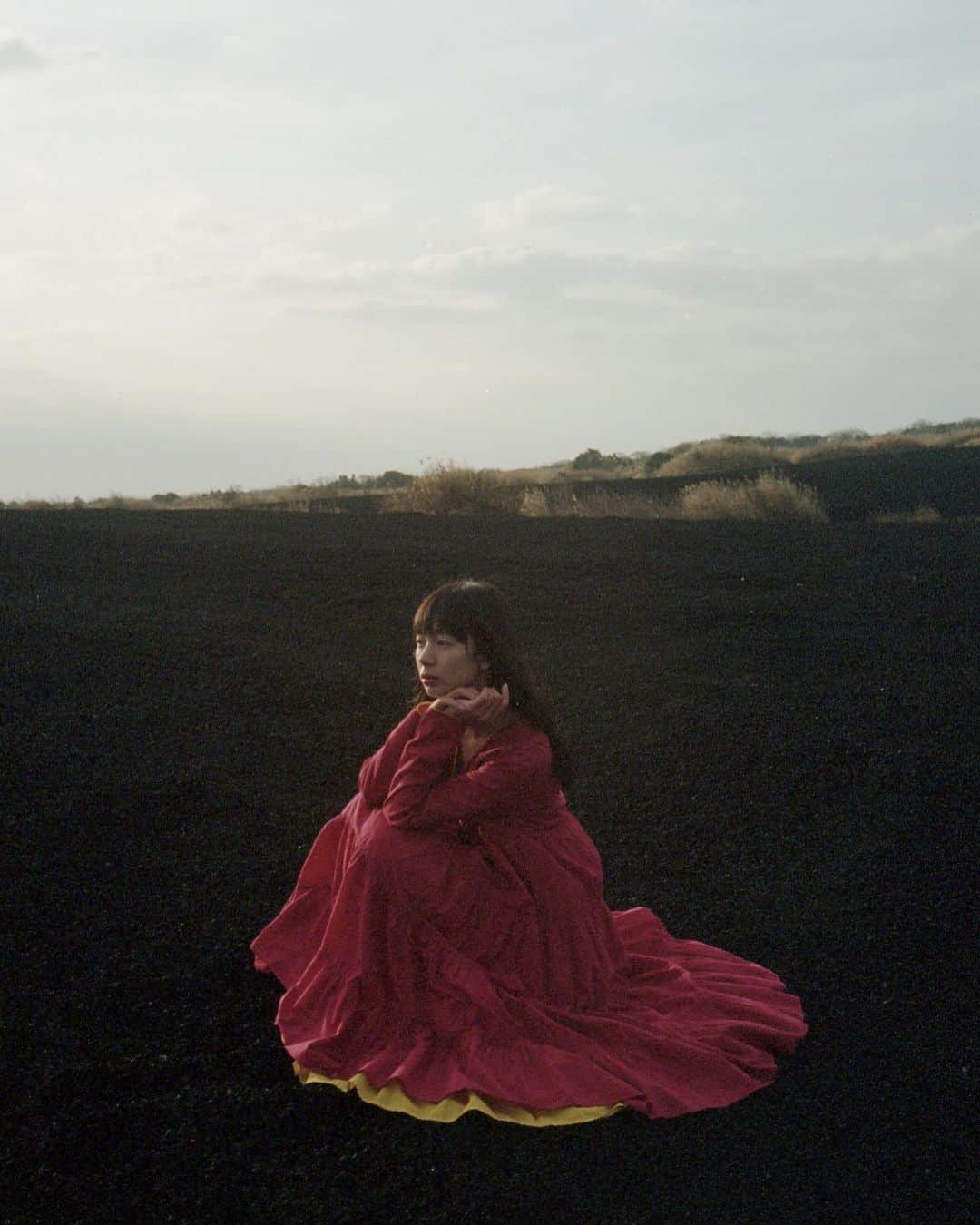 きなりのインスタグラム：「大島椿🌋💐」