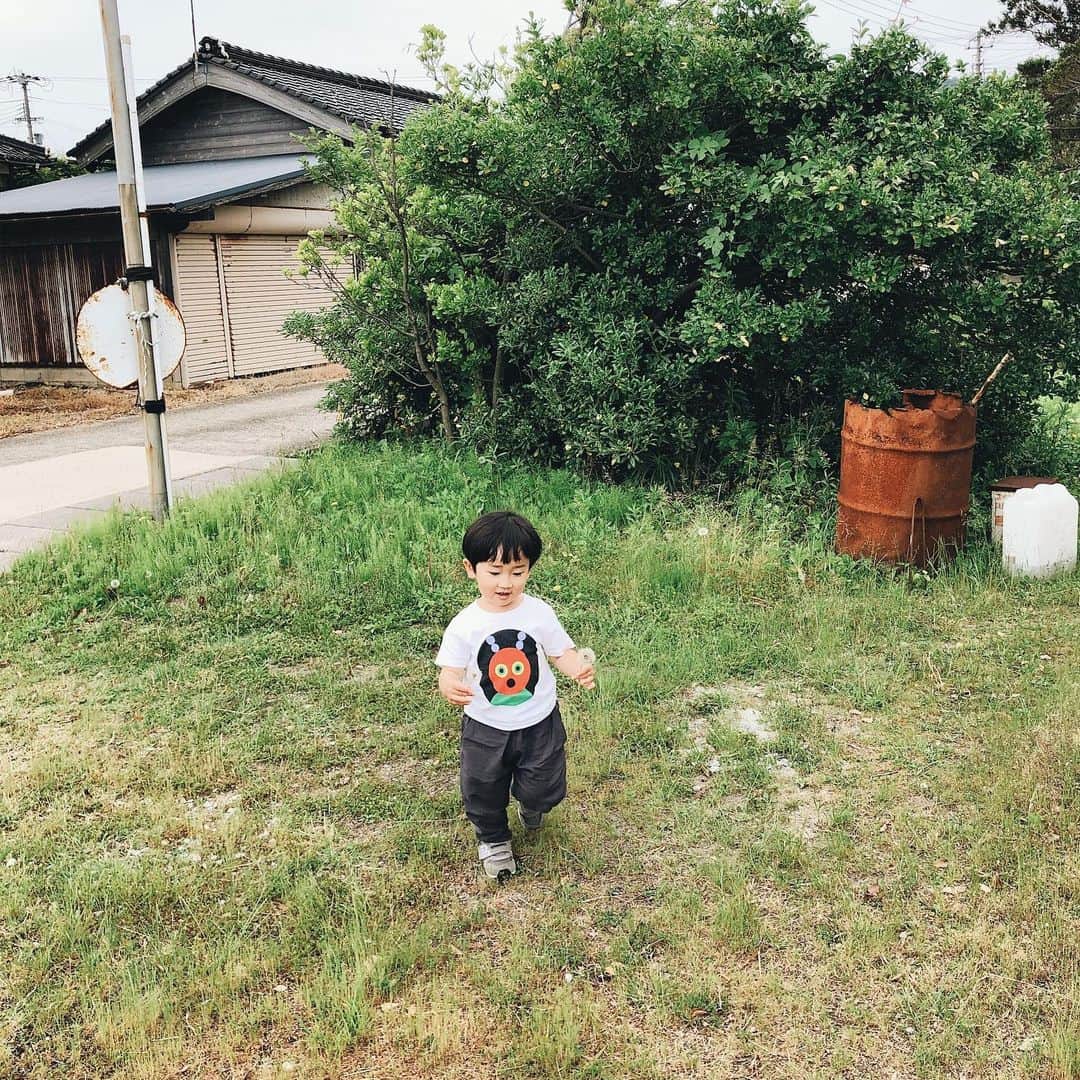 Takafumi Gotoのインスタグラム：「タンポポを摘んで海に投げ入れる作業。季之介も僕らも最近お気に入りの「はらぺこあおむし✖️tupera tupera」のTシャツ。隣の家のおっちゃんには「そりゃテントウムシか？」って言われてた🐞」