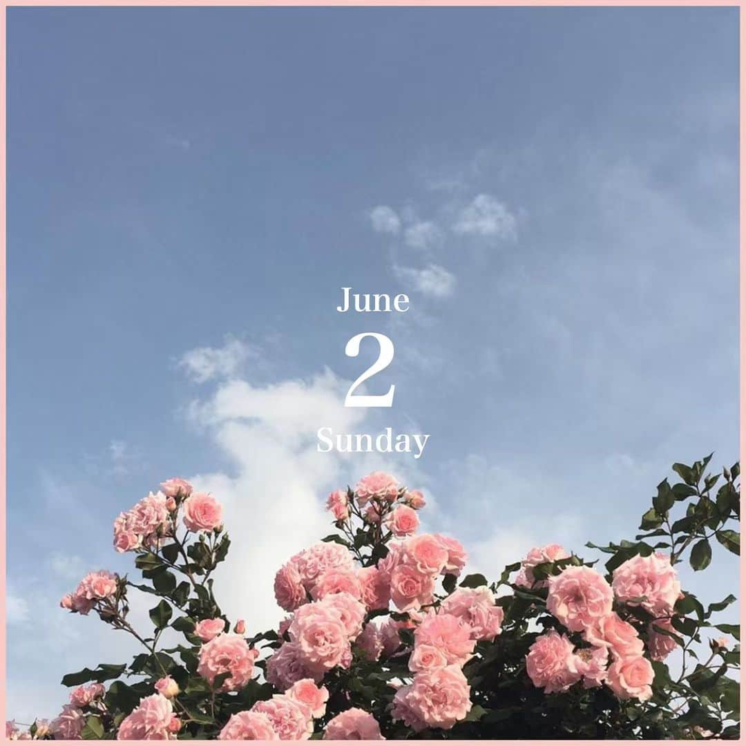 のインスタグラム：「﻿ ﻿ June 2 , Sunday﻿ ﻿ ﻿ 🌷﻿ ﻿ ﻿ 過ごしやすいこの季節に﻿ きれいなお花を写真におさめて❤️﻿ ﻿ お部屋に飾っても﻿ お花畑に足を運んでもうっとりするようなお花がたくさん。﻿ ﻿ あじさいやひまわりのシーズンに突入する前に﻿ バラ園にも足を運んでみては？💕﻿ ﻿ きれいなお花を見つけたら﻿ @bis_web にタグ付けして投稿してね！﻿アカウントで紹介されるかも🌷 ﻿ ﻿ ﻿ #flower #花 #お花 #お花畑 #バラ #rose #チューリップ #tulip #花束 #お花屋さん #バラ園 #季節の花 #花のある暮らし #花のある生活 #diligenceparlour #表参道 #🌷 #💐 #🌹 #🌻 #flowers #japan #bis_web」