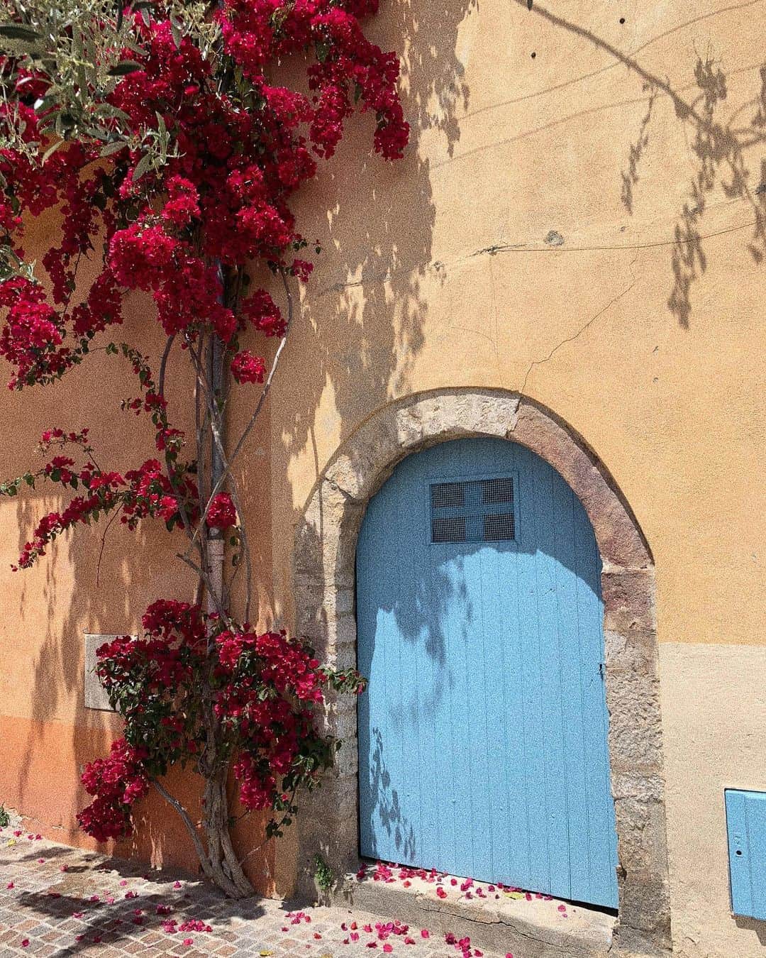 マチルダ・ルッツさんのインスタグラム写真 - (マチルダ・ルッツInstagram)「Hyeres. La porte azul. #hyeres #beaute」6月2日 21時24分 - matildalutz