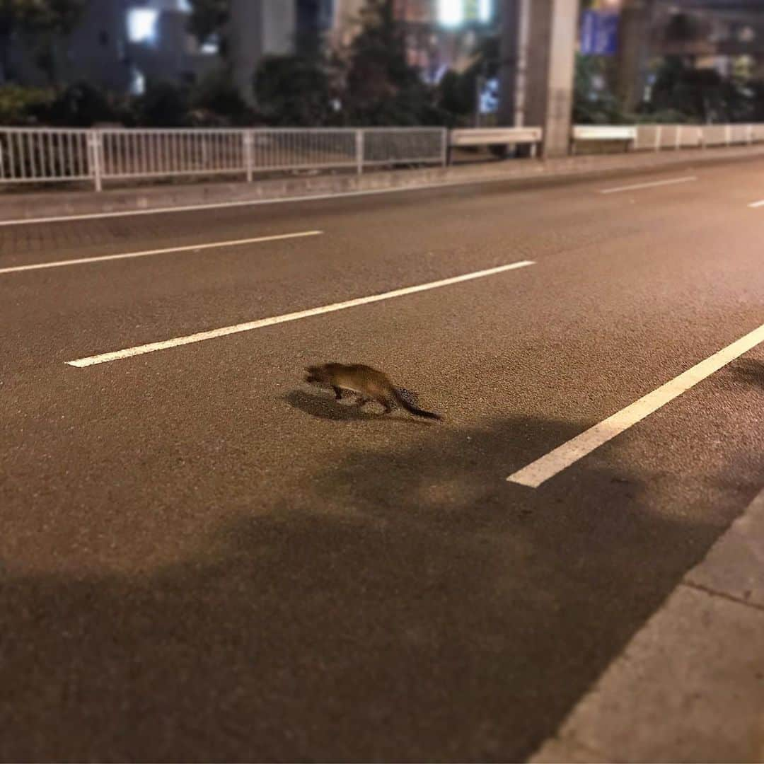 エドツワキさんのインスタグラム写真 - (エドツワキInstagram)6月2日 21時25分 - ed_tsuwaki